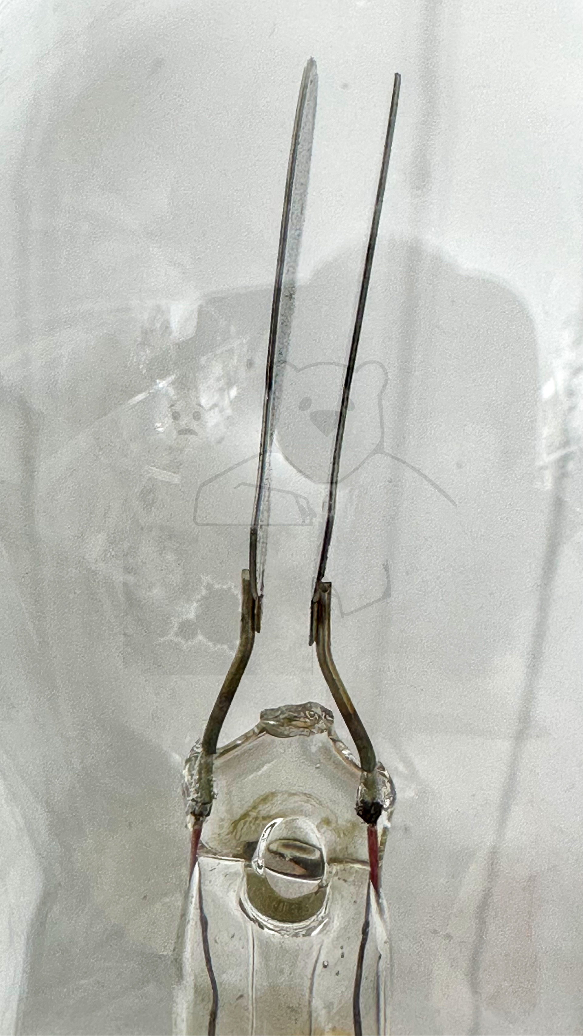 Glimmlampe 'Mustafa Kemal Atatürk' Bild 2