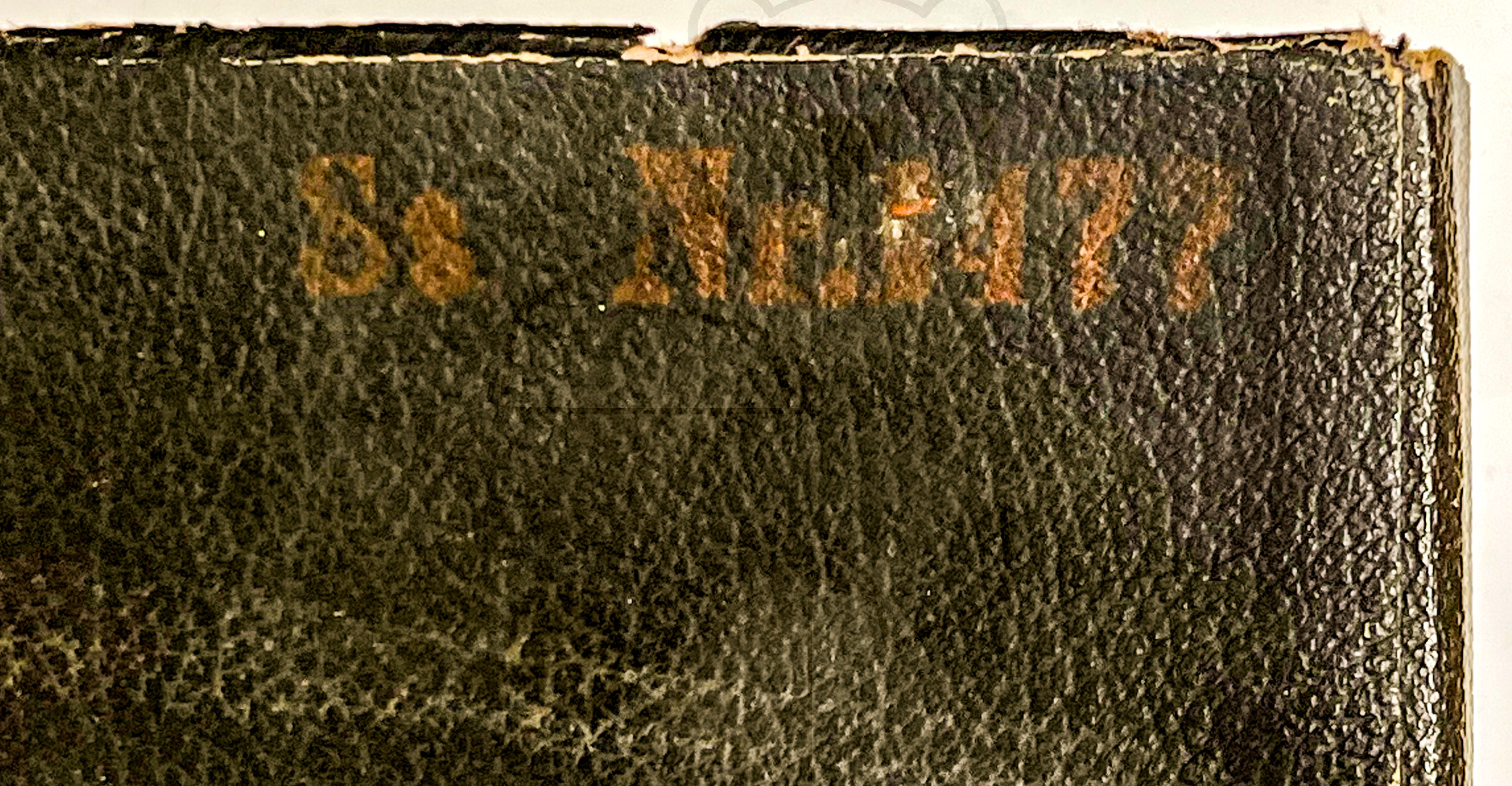 Liebenröhre, Seriennummer 'Ss990' Originalverpackung (Falsche Seriennummer auf der Verpackung) - Bild 4