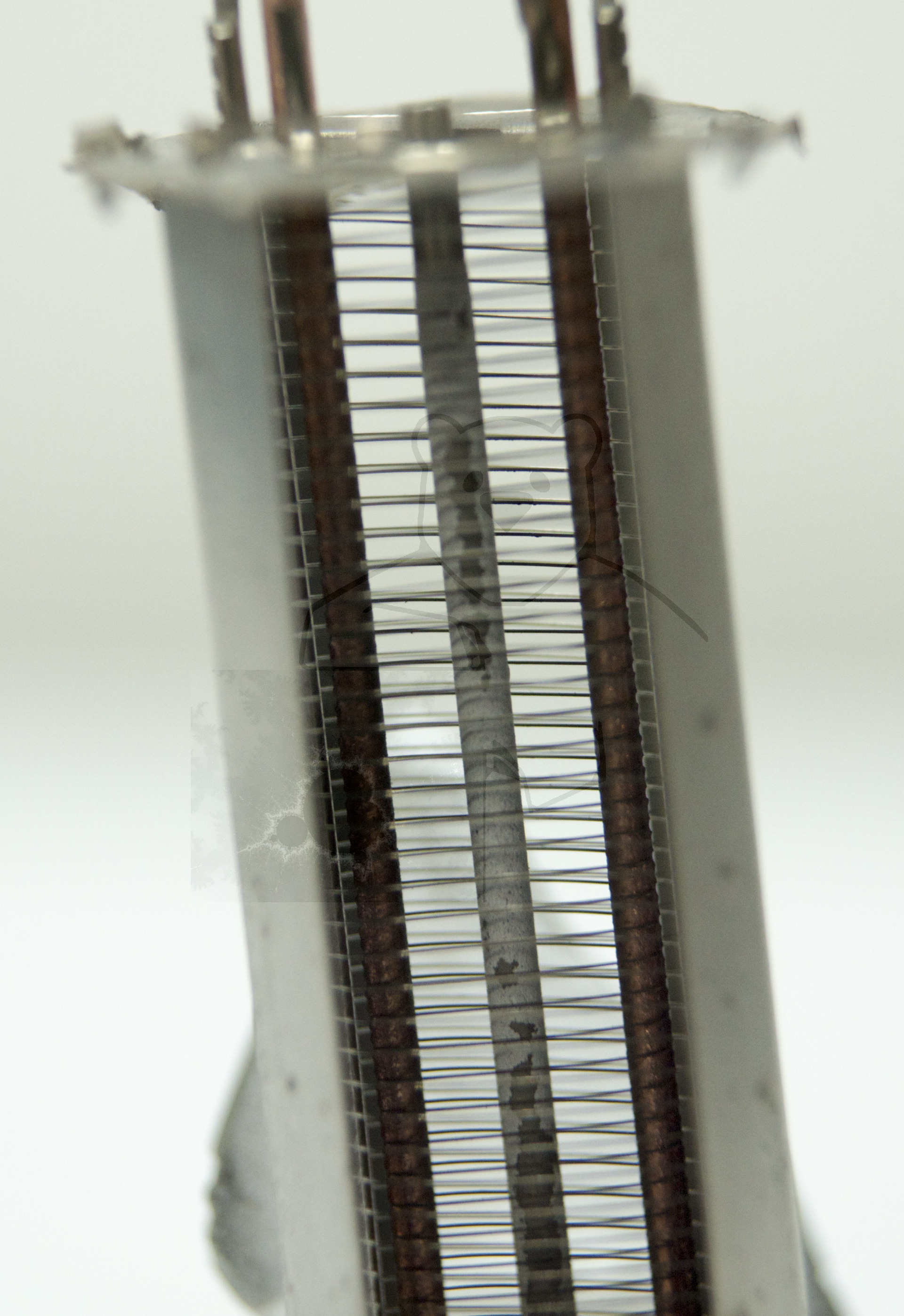 Makroaufnahme 6AQ5 Bild 3 - Gitter
