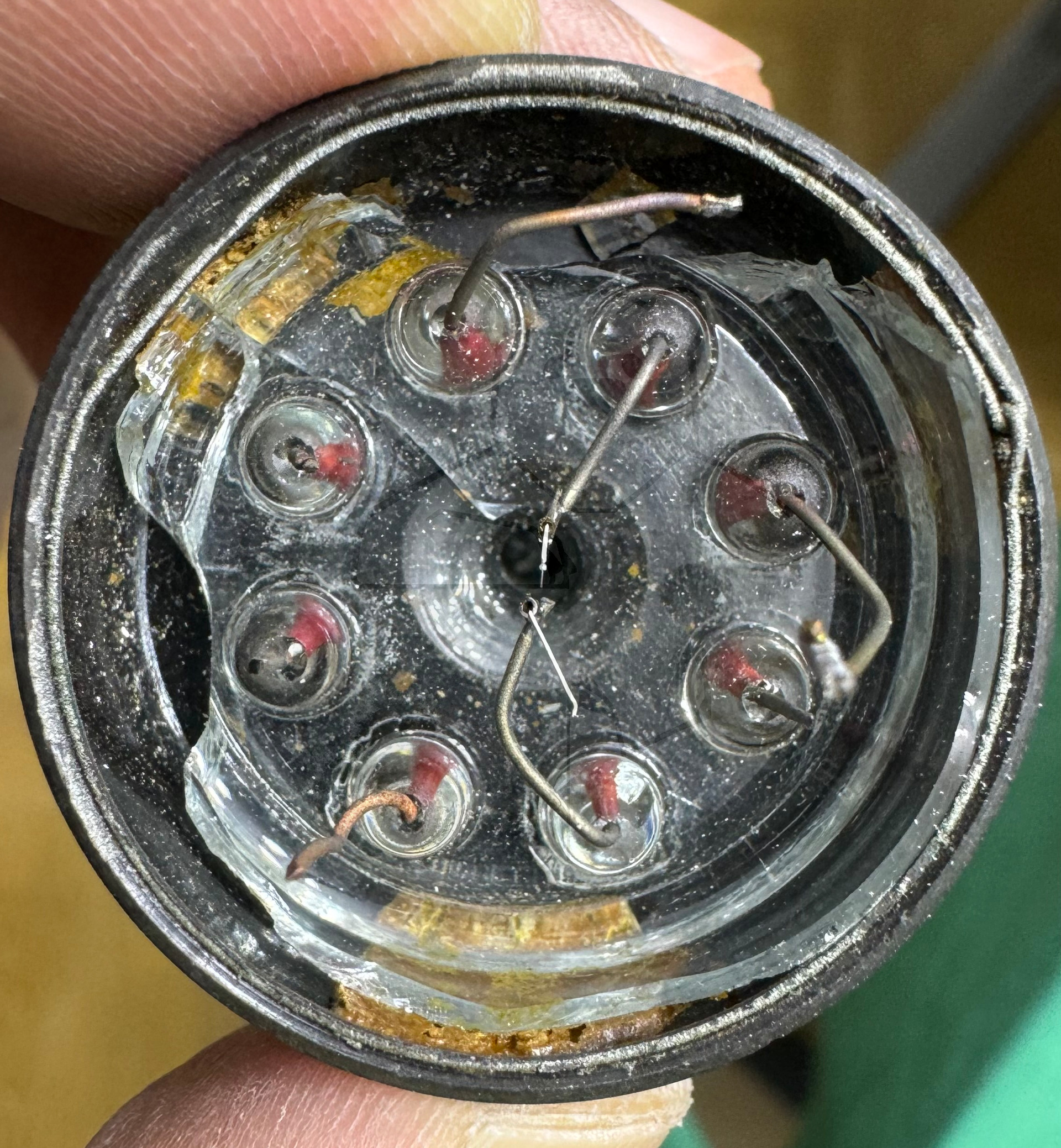 Makroaufnahme 6SA7 Bild 17 Boden