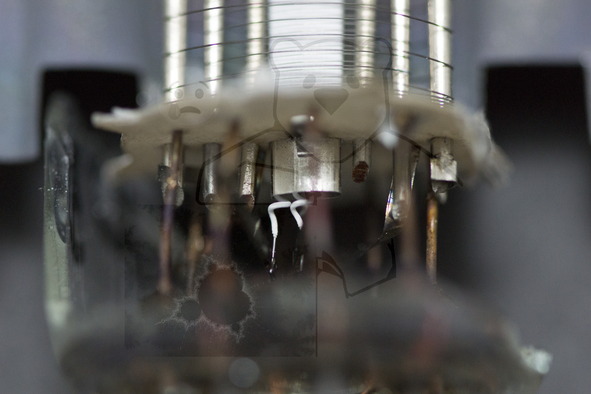 Makroaufnahme EL41 Anschlüsse