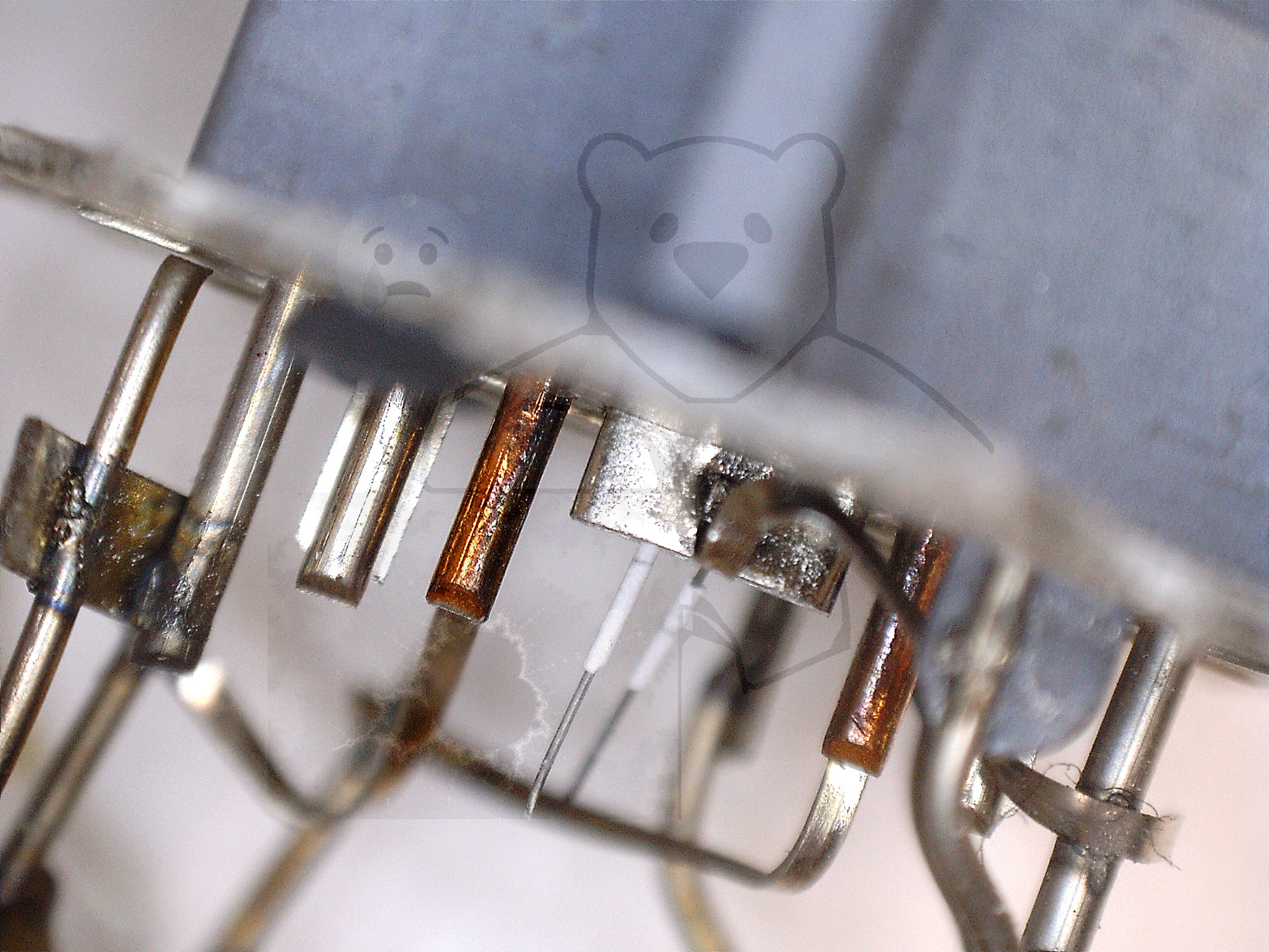 Makroaufnahme EL86 Anschlüsse und Heizer