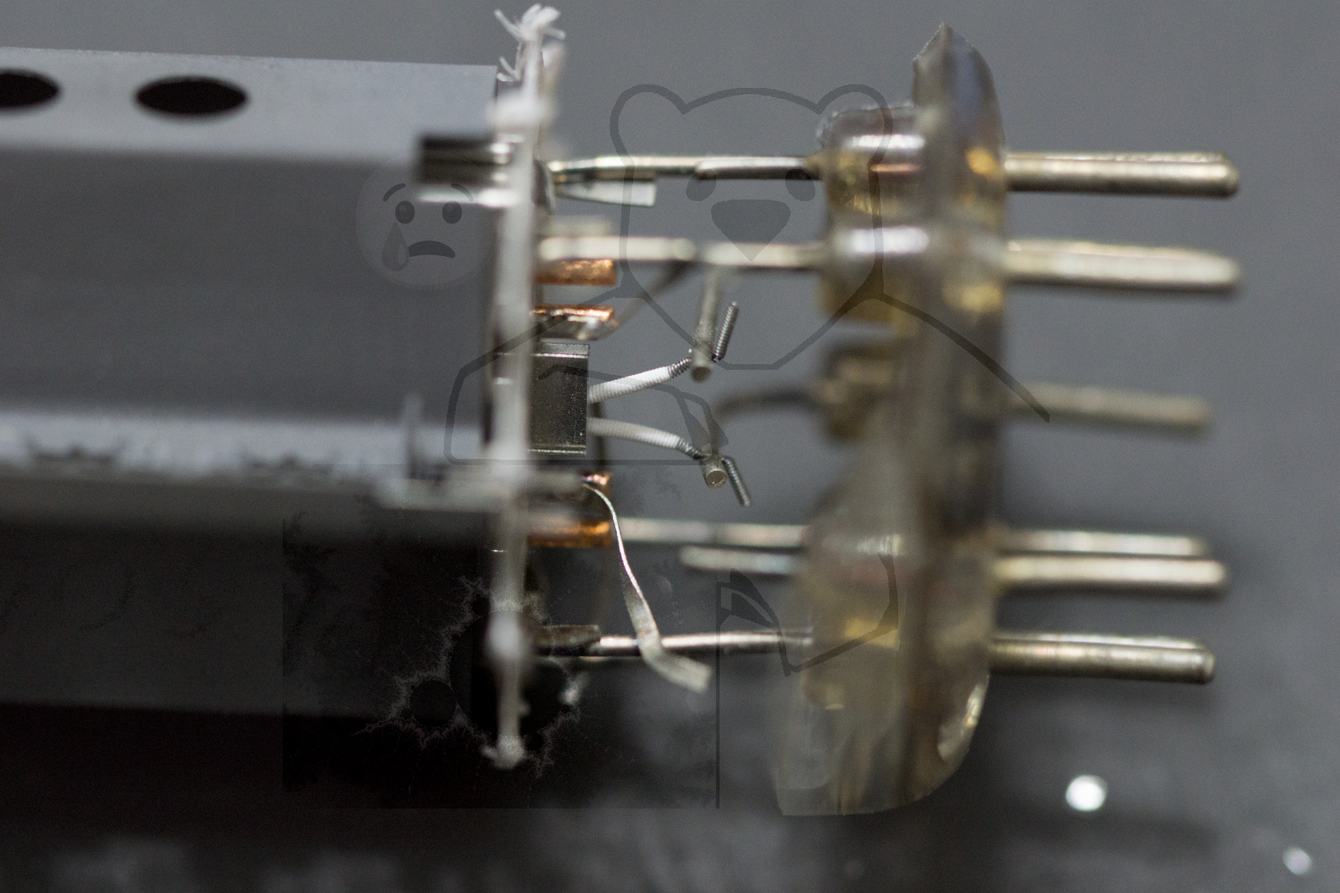 Makroaufnahme PL504 Anschlüsse Bild 2