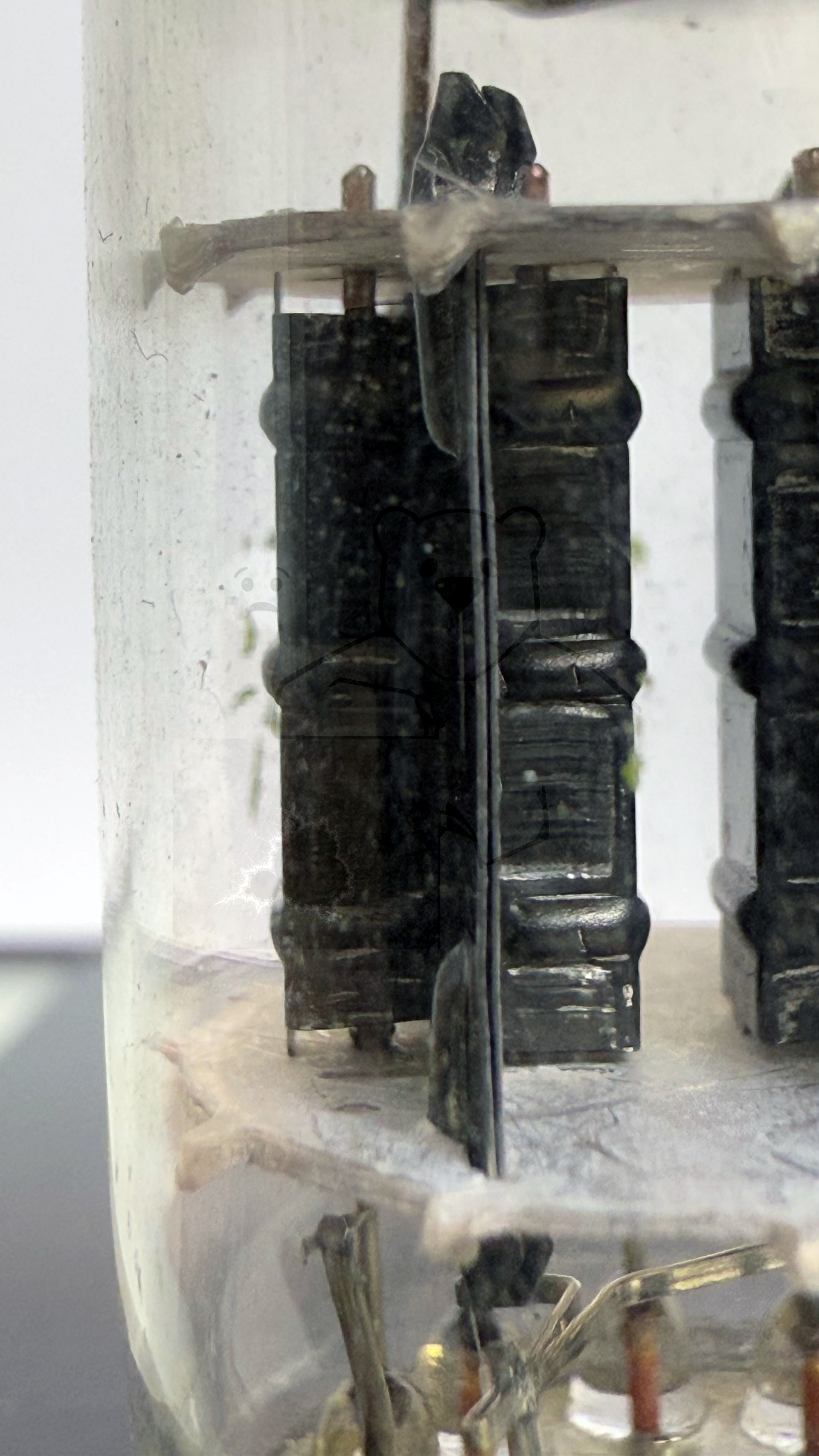 Röhre 12AU7A #7914 Bild 6