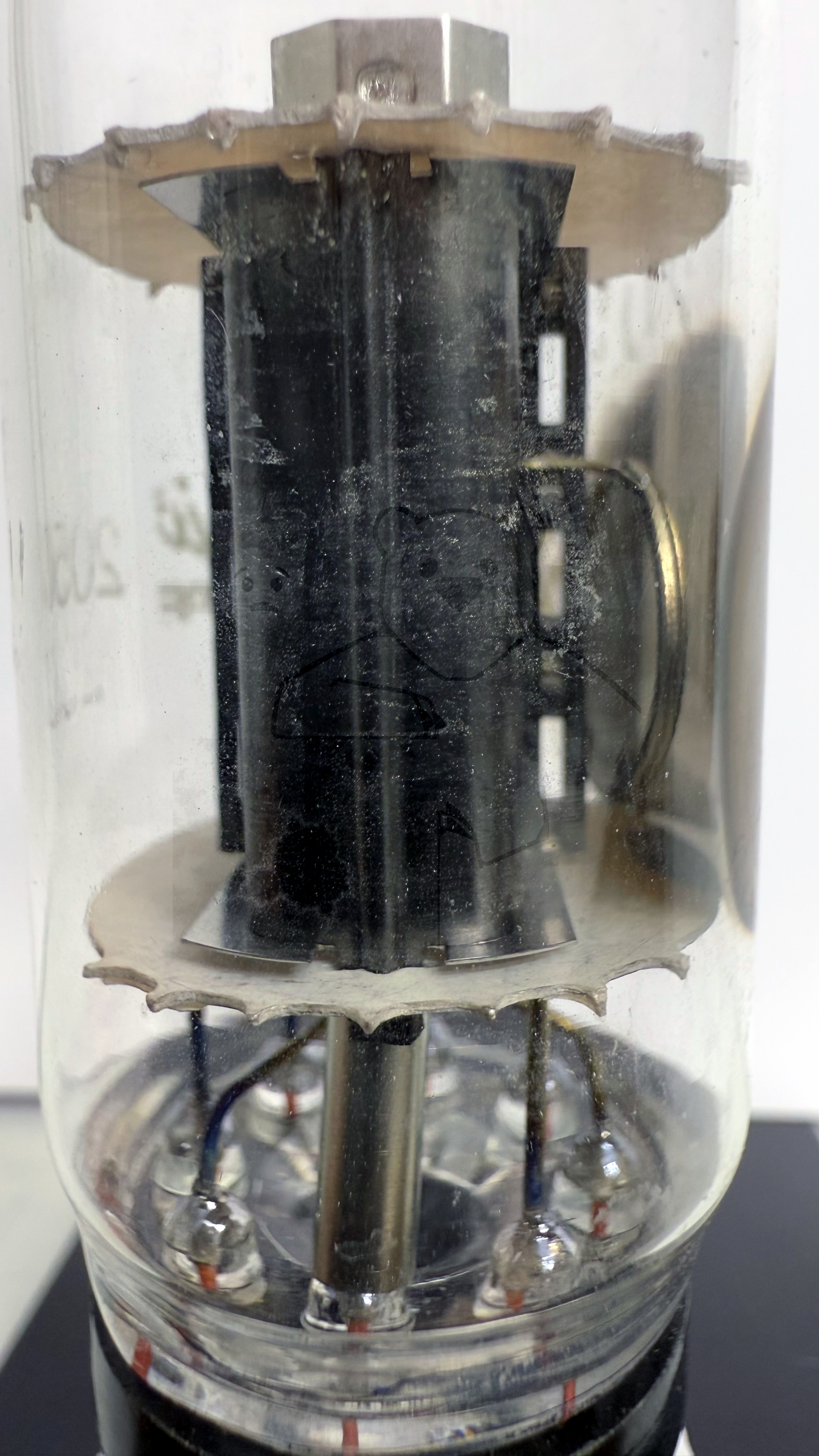 Röhre 2050A #8099 Bild 6