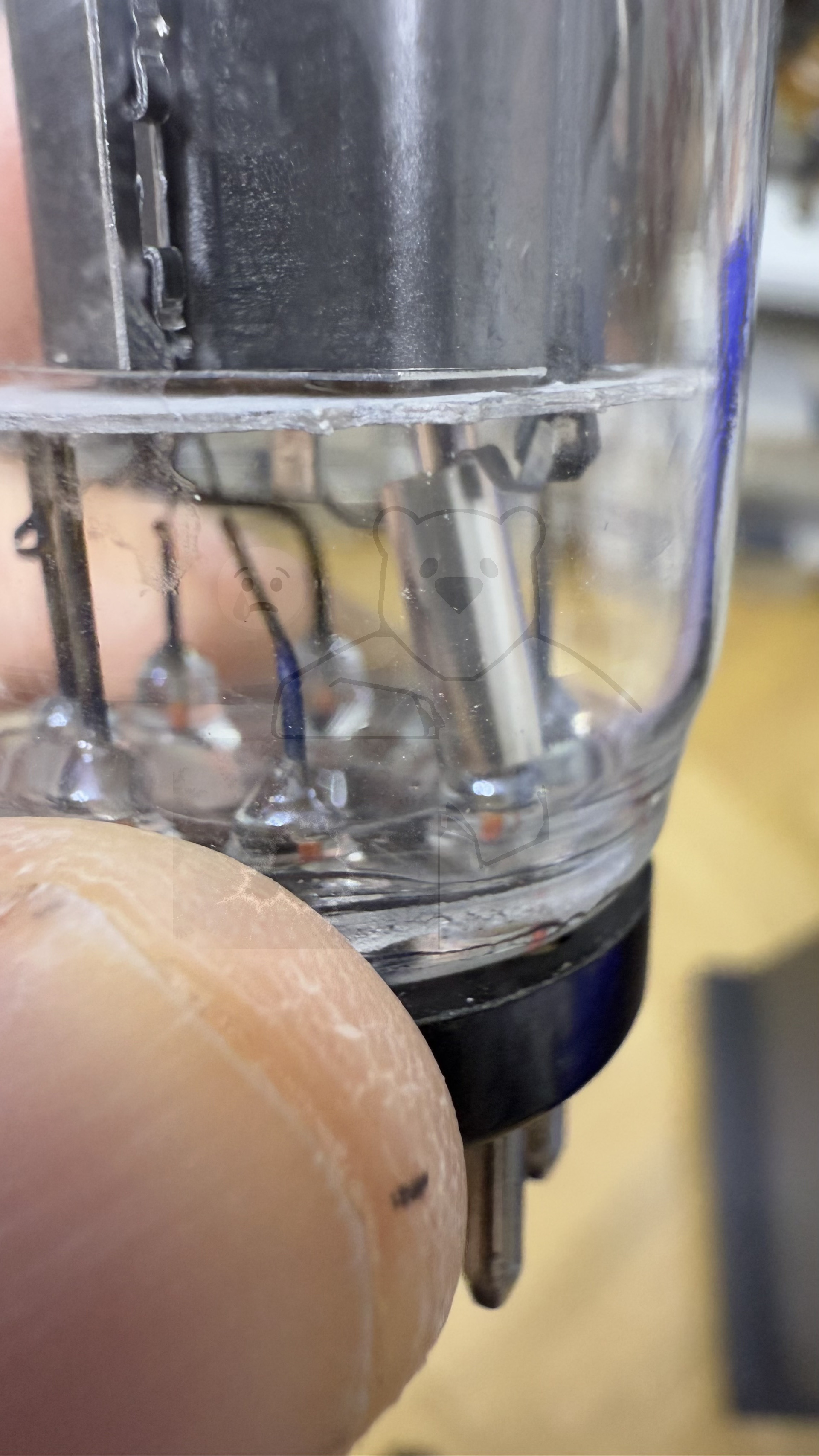 Röhre 2050A #8100 Bild 8