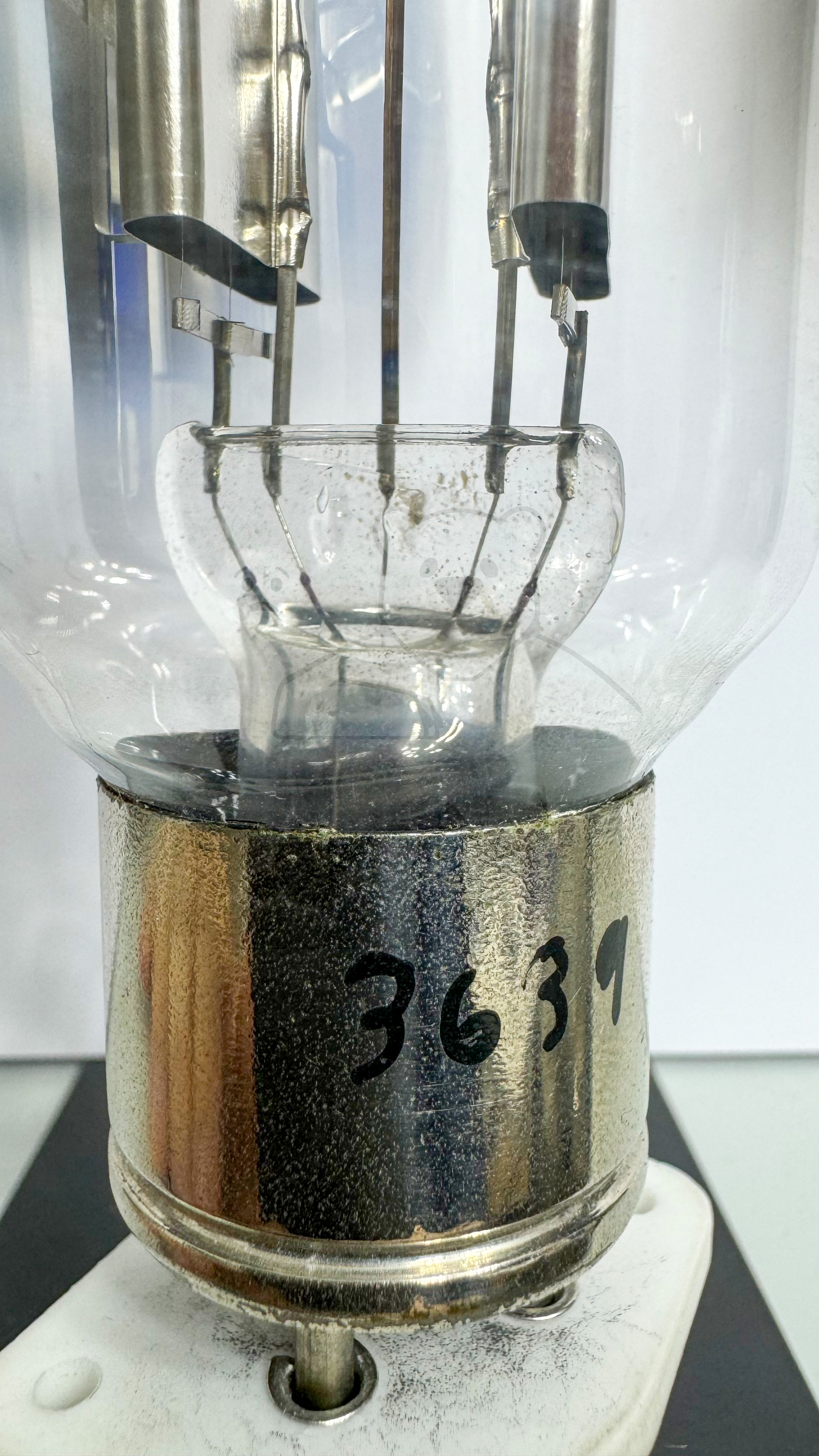 Röhre 2NG #3639 Bild 5