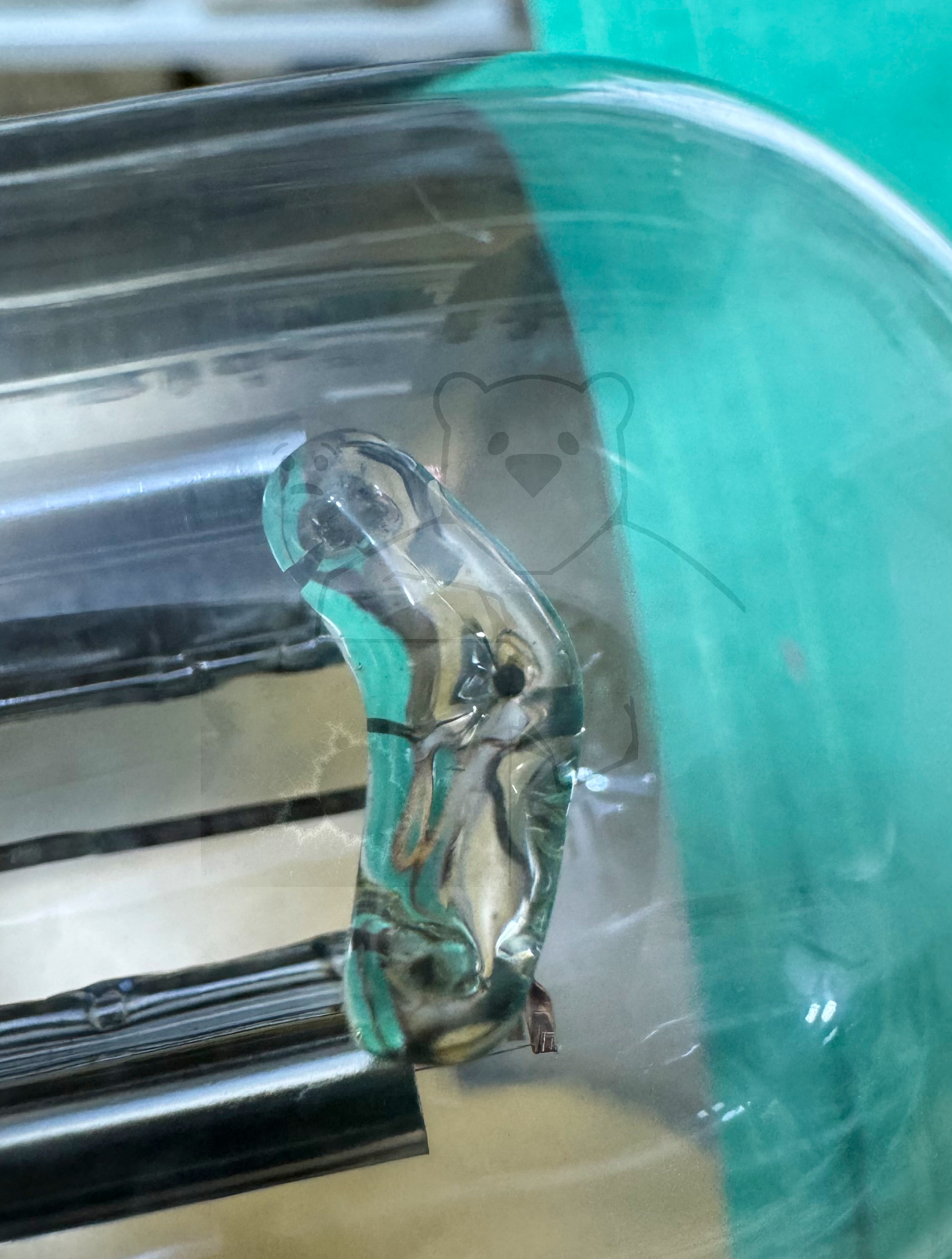 Röhre 2NG #3639 Bild 8