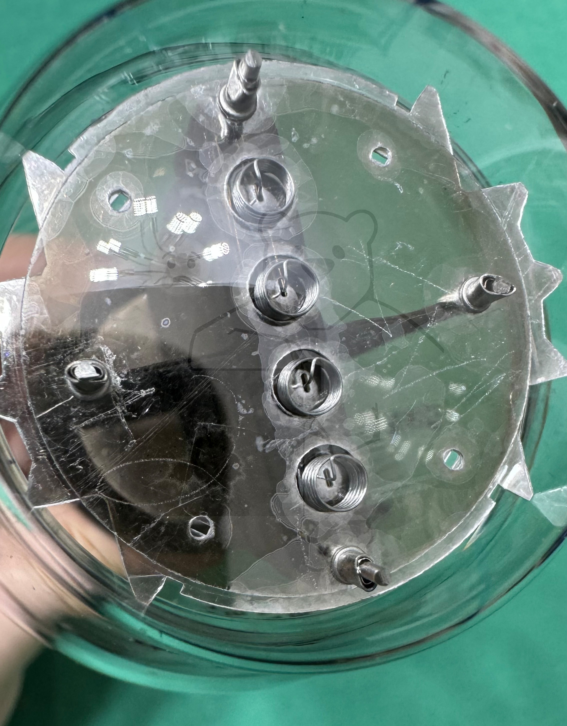 Röhre 300B #4806 Bild 14