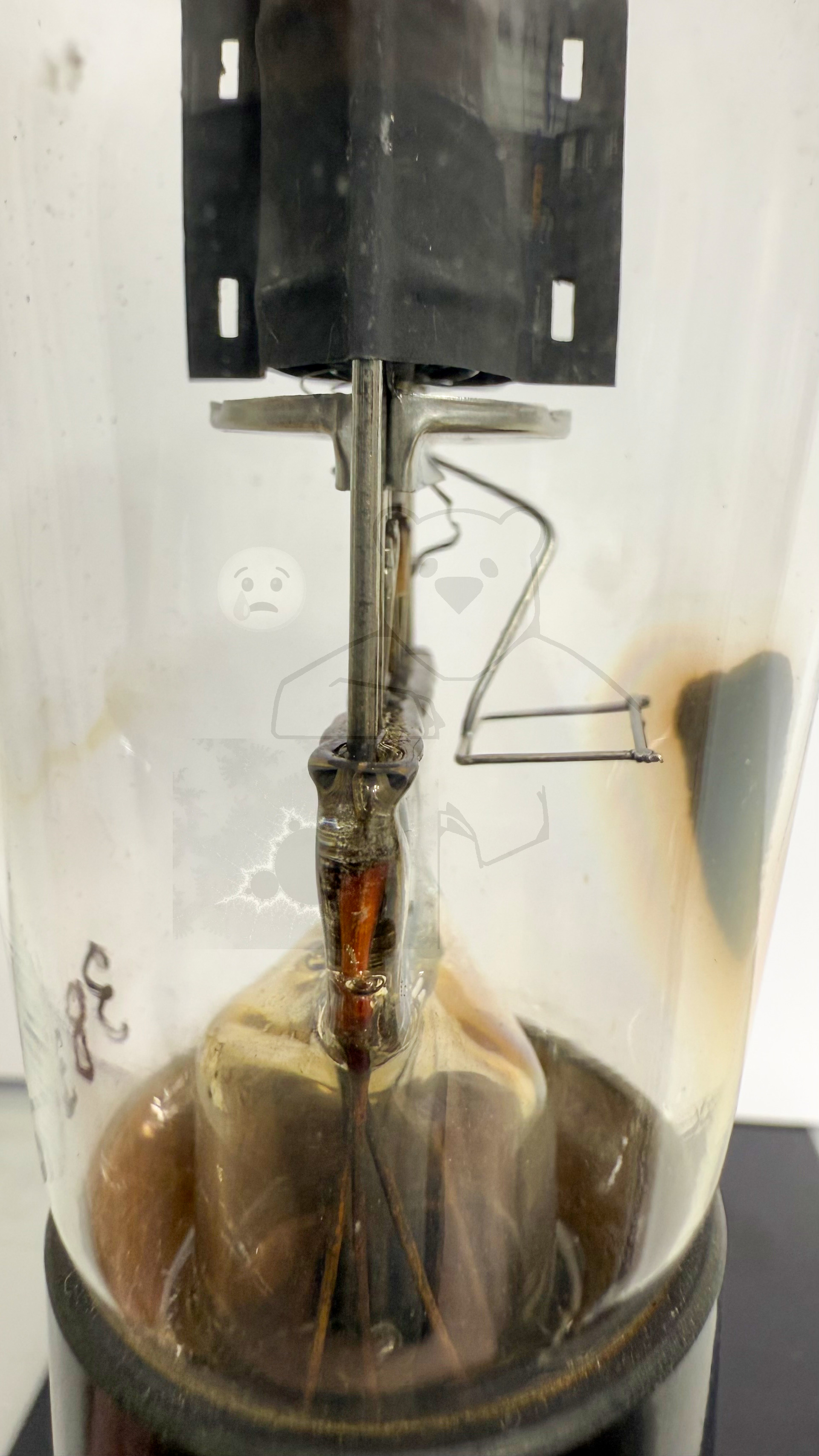 Röhre 349A #3836 Bild 3