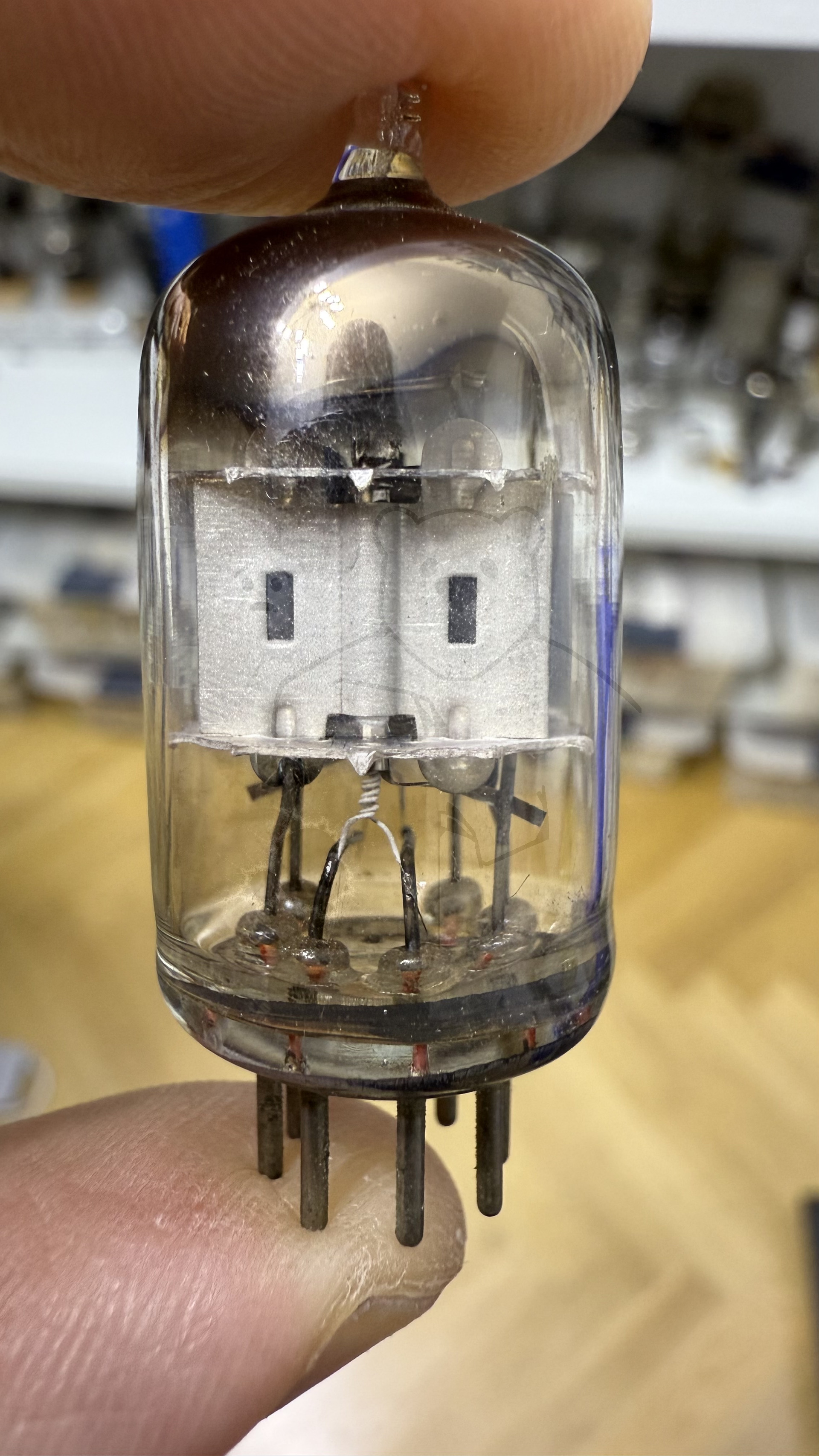 Röhre 3AL5 #8368 Bild 4