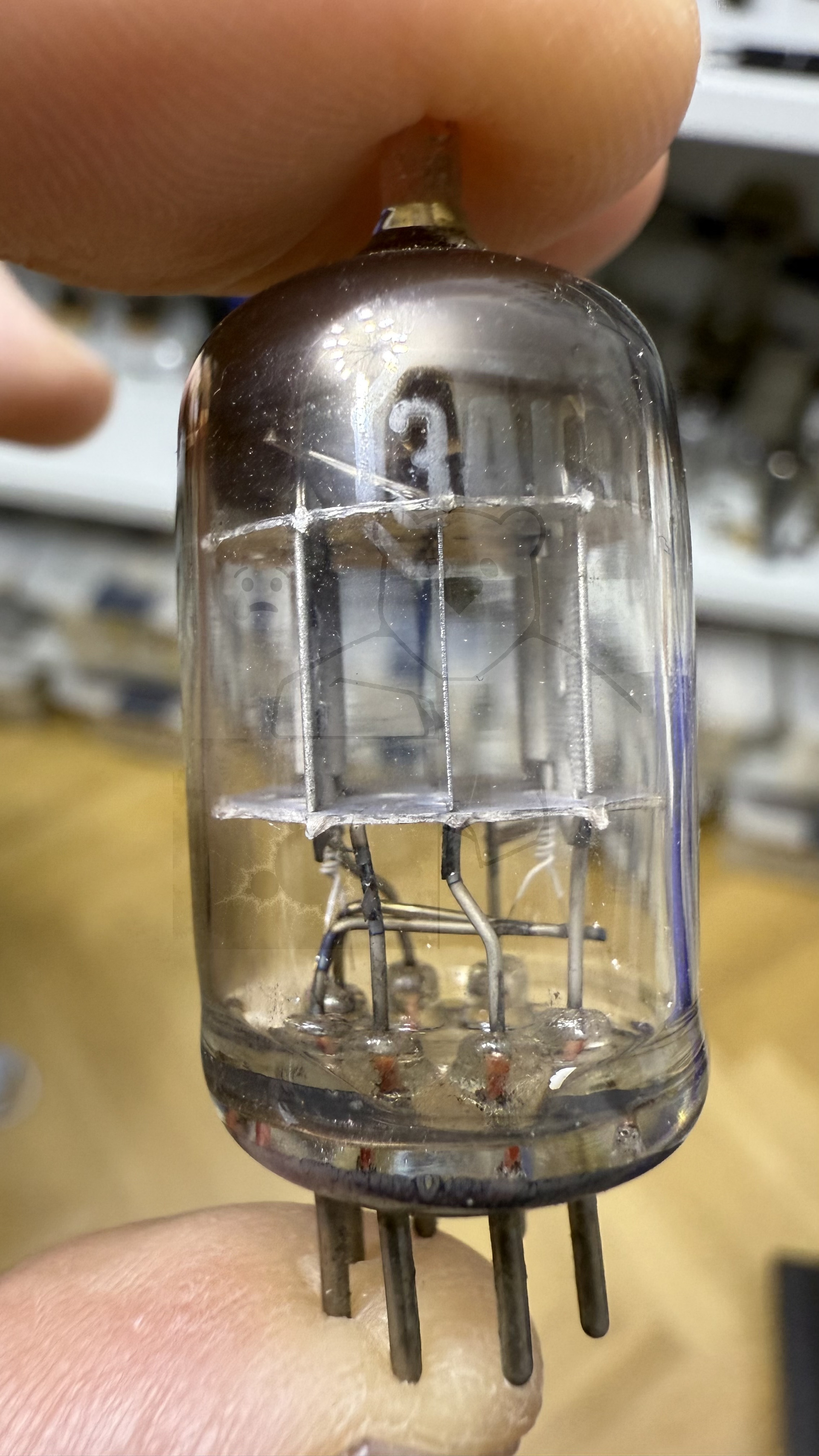Röhre 3AL5 #8368 Bild 6