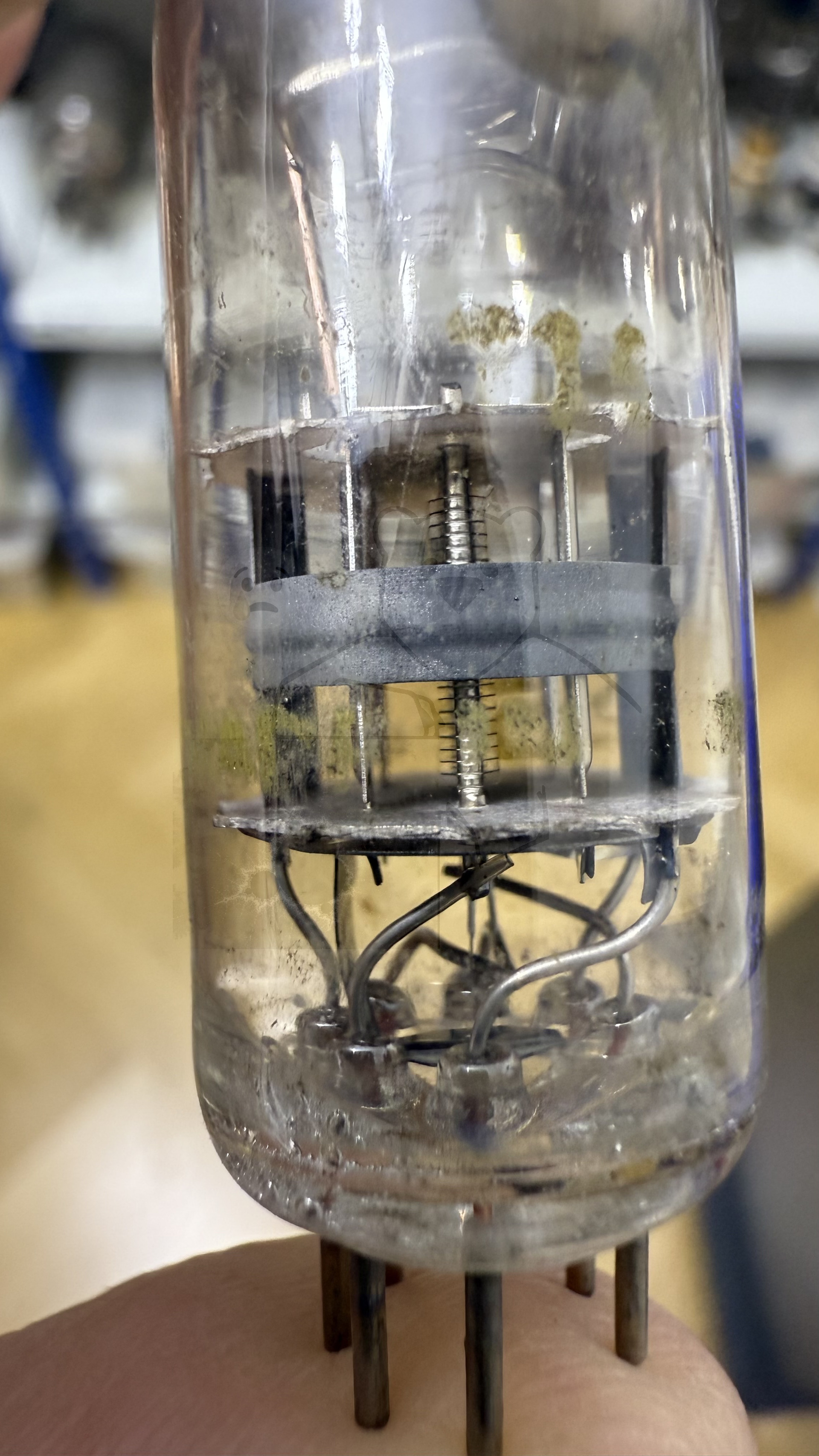 Röhre 3CB6 #8365 Bild 4