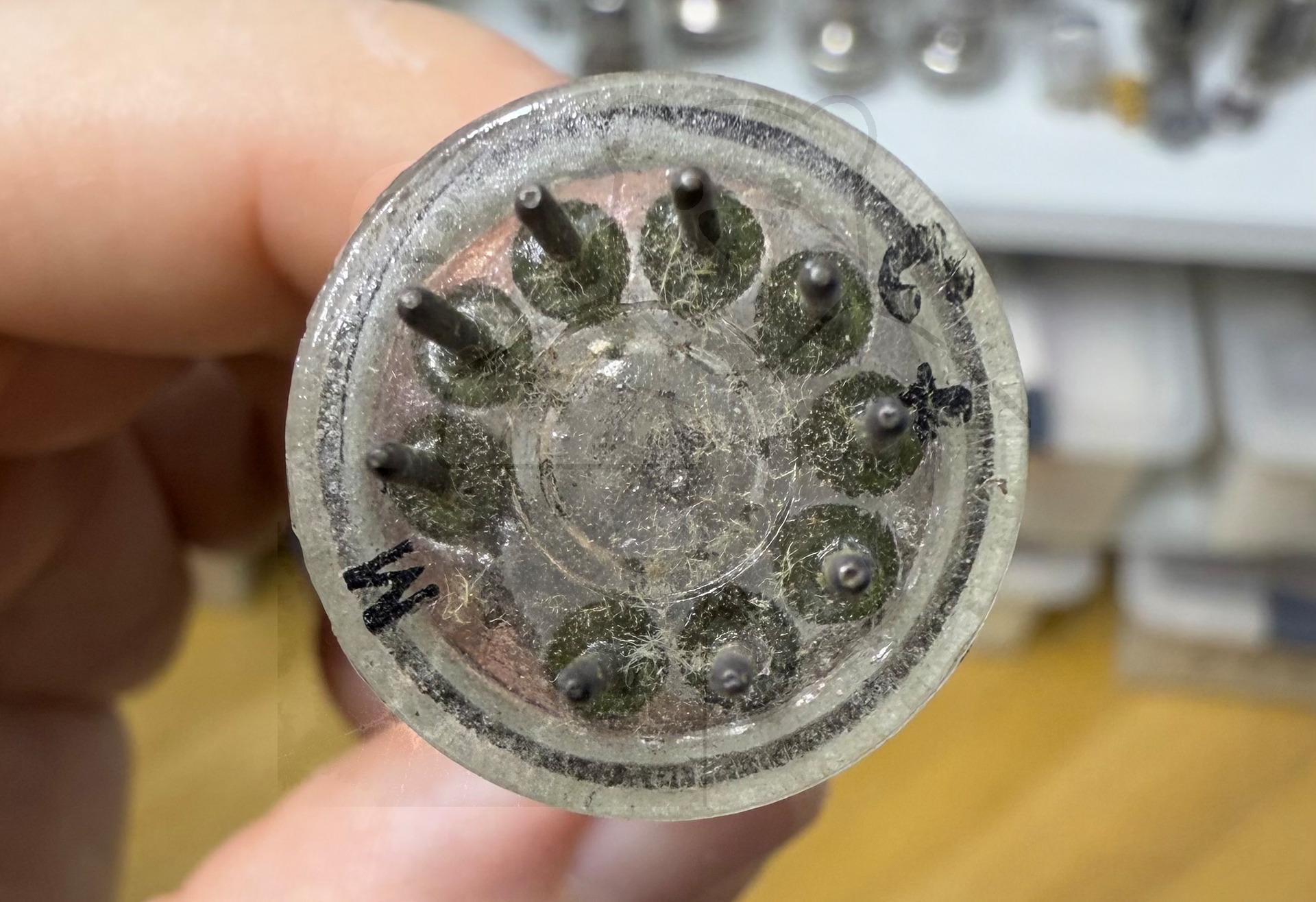 Röhre 6BD7 #7950 Bild 9