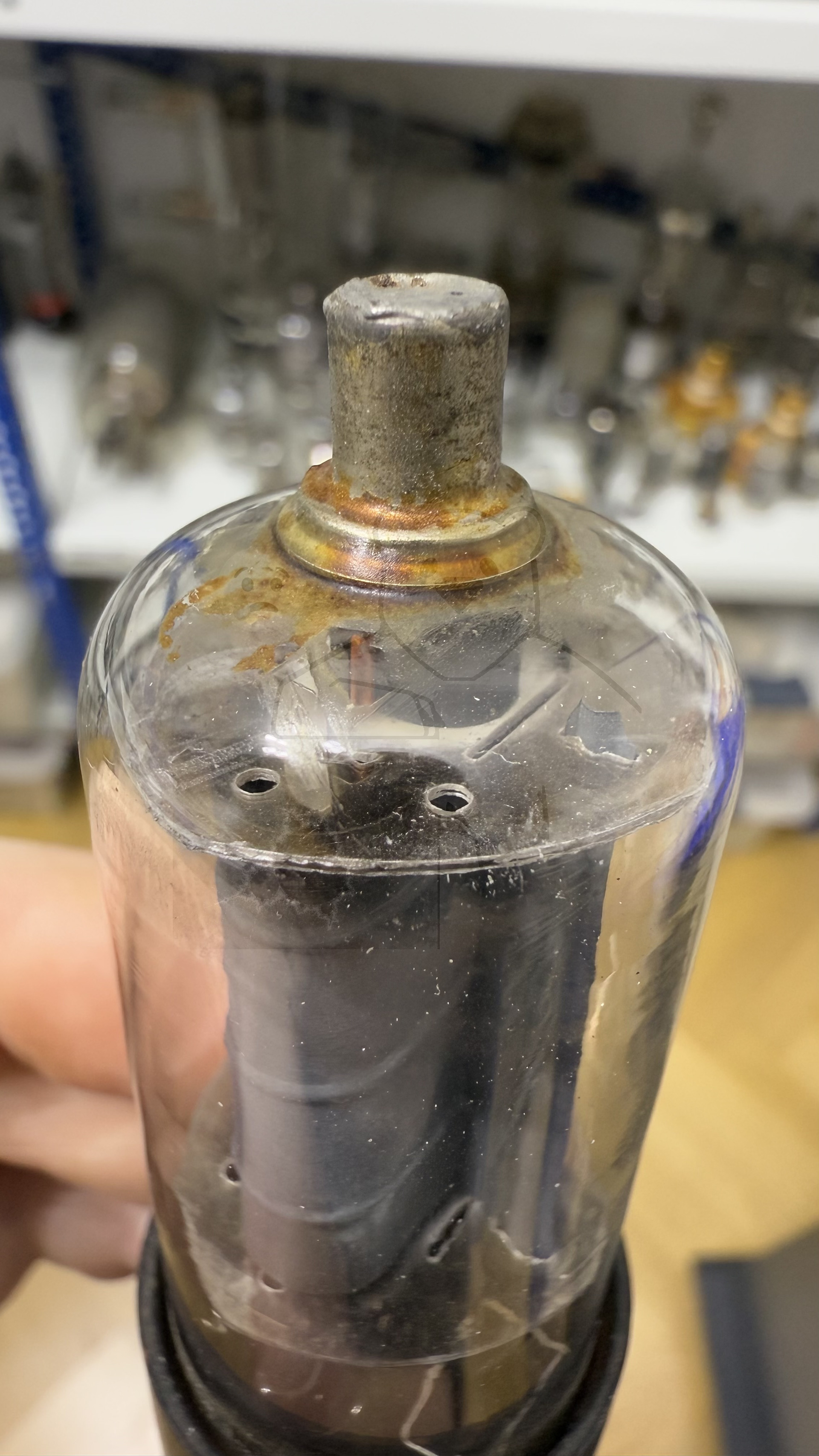 Röhre 6BQ6 #8112 Bild 6