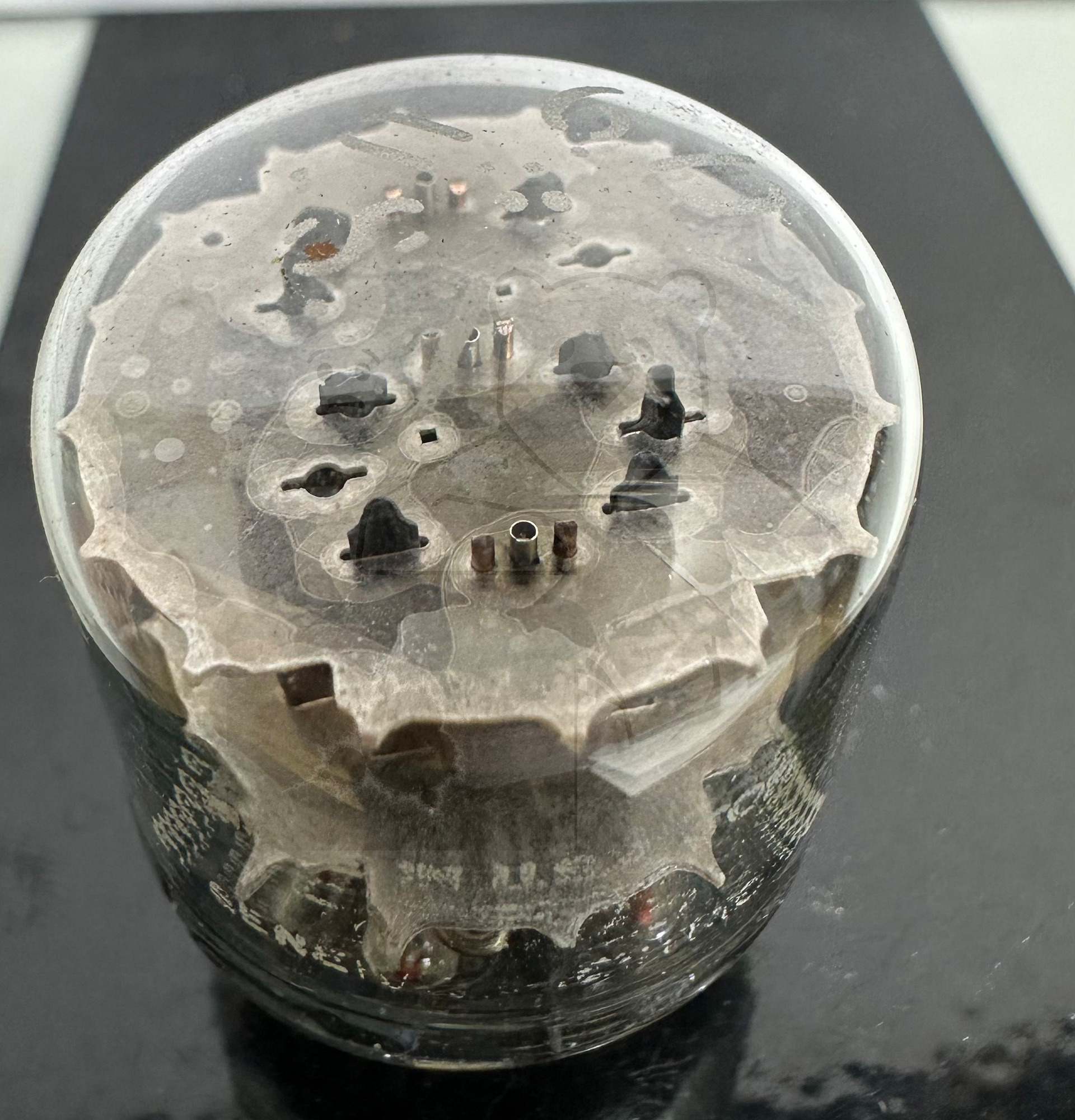 Röhre 6D10 #0189 Bild 4