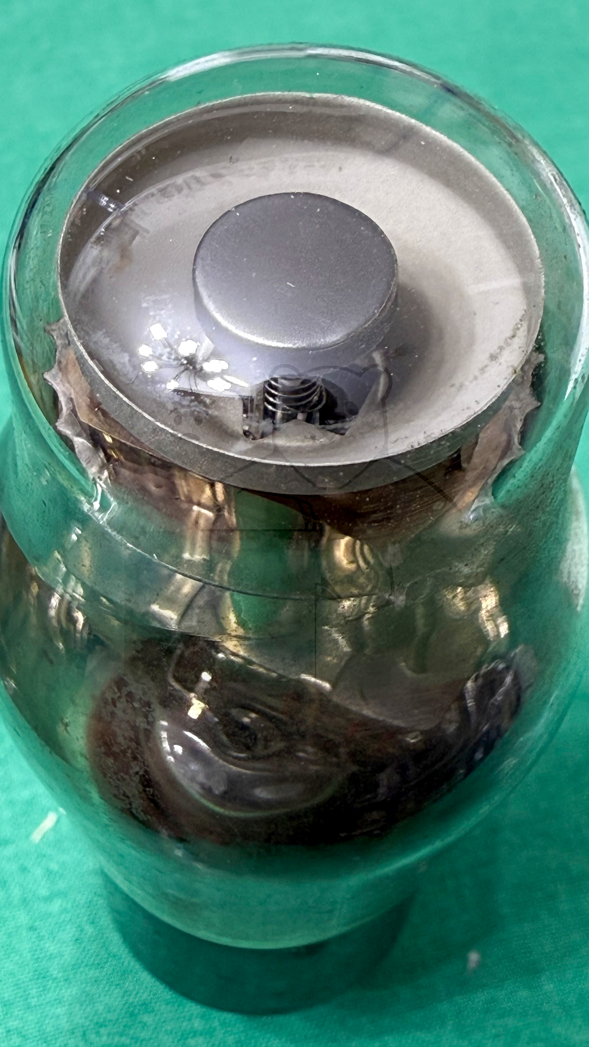 Röhre 6E5 (USA, 6pol) #5908 Bild 10