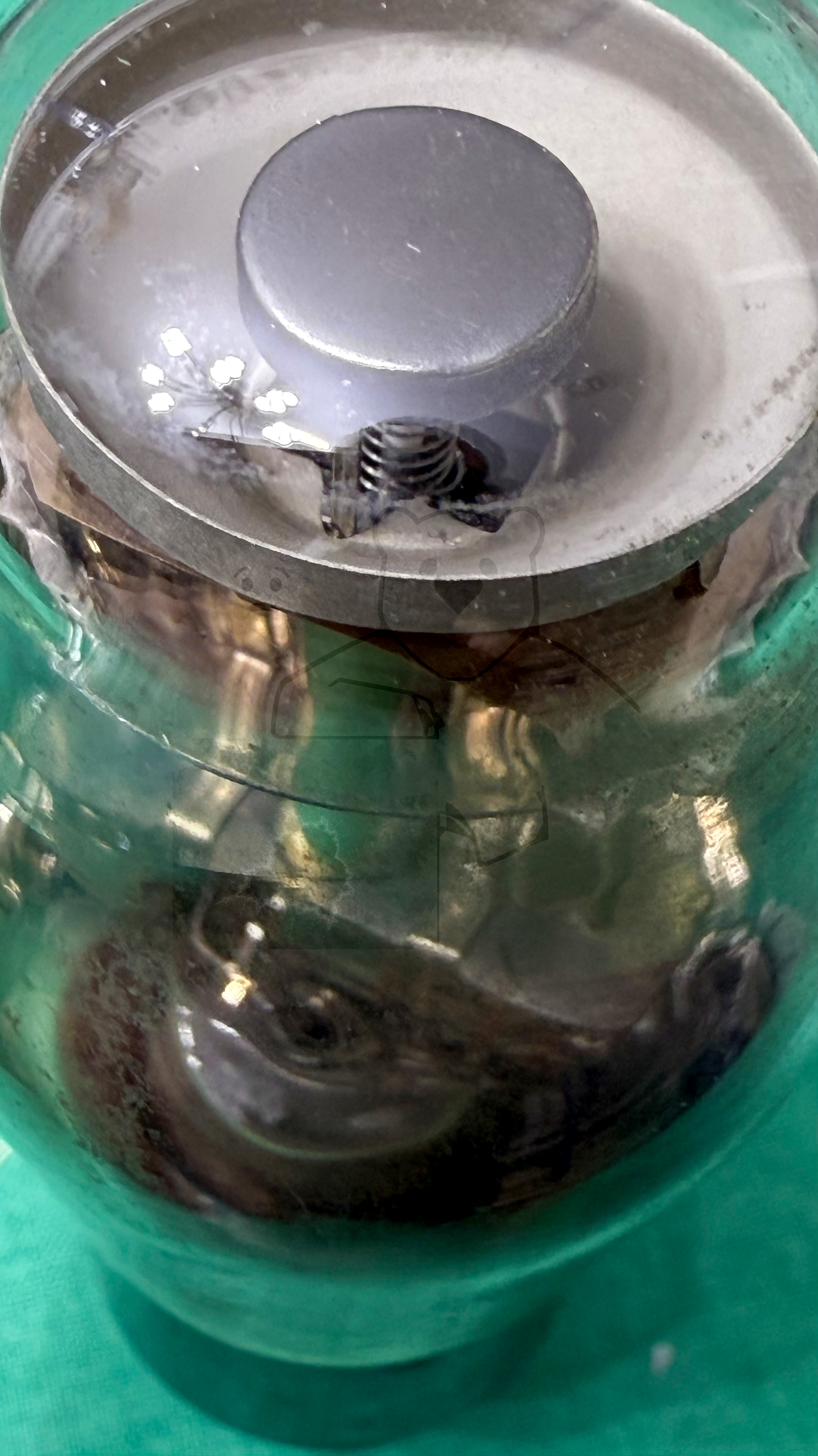 Röhre 6E5 (USA, 6pol) #5908 Bild 9