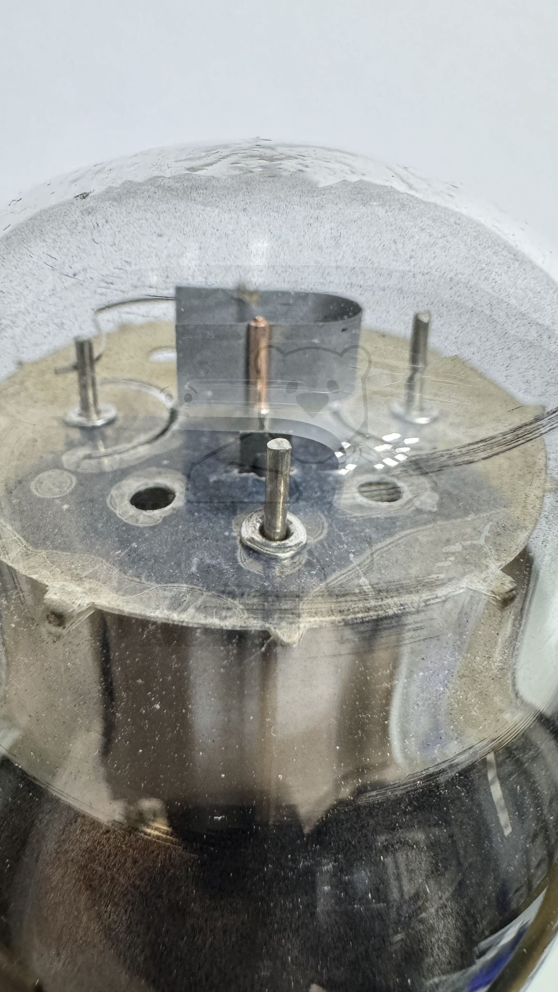 Röhre 6L6G #7565 Bild 5