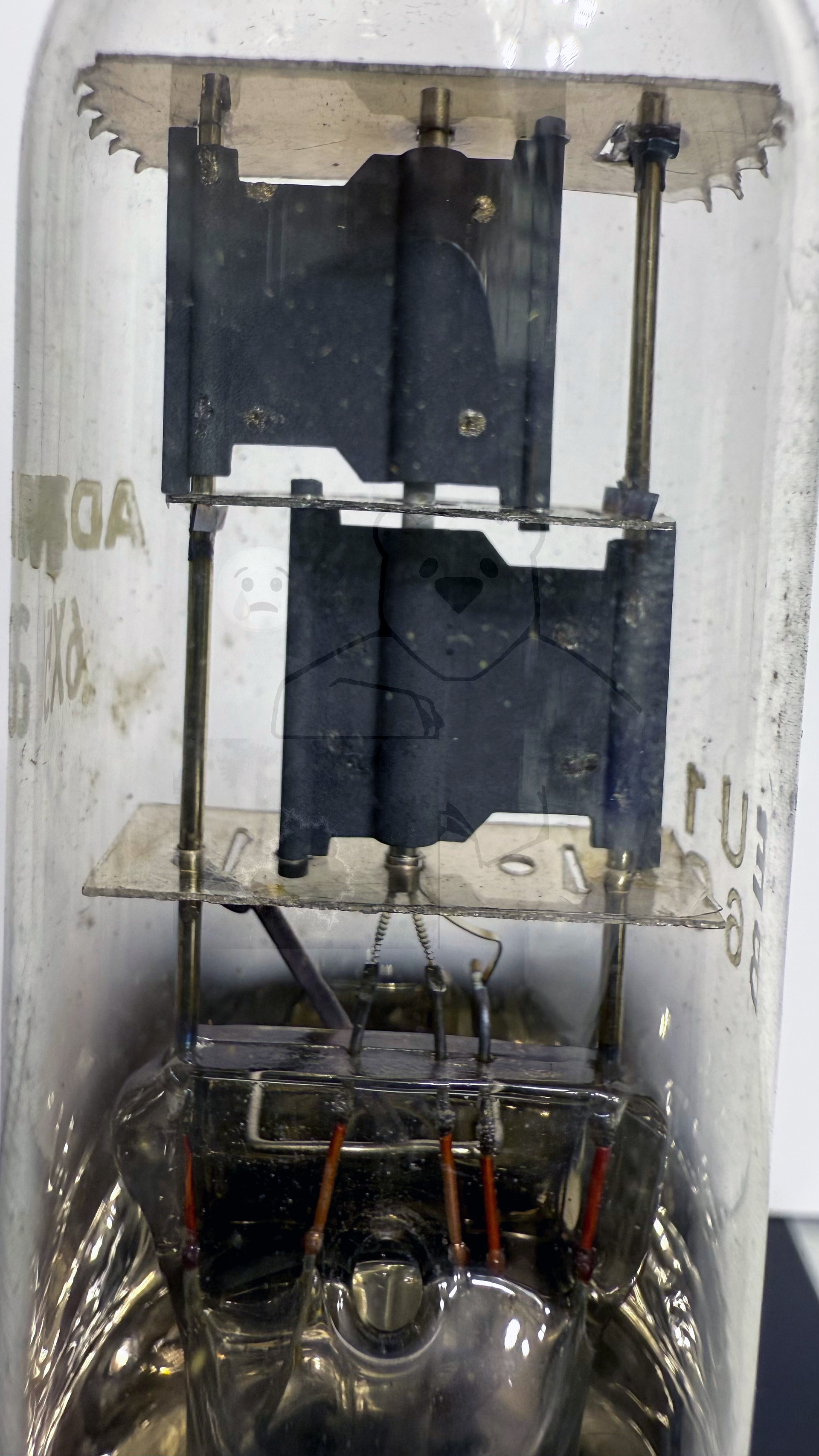 Röhre 6X5G #4489 Bild 3