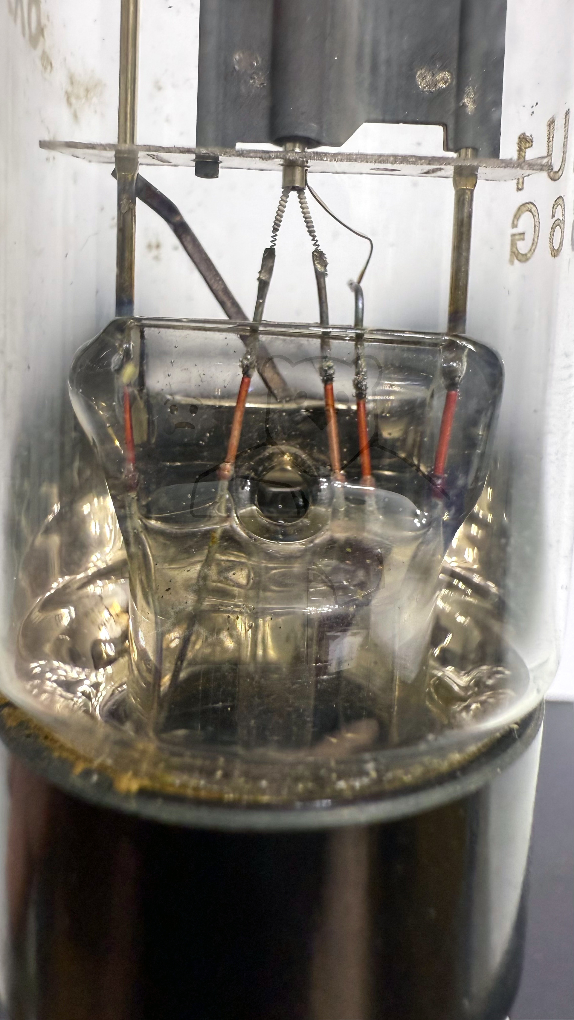 Röhre 6X5G #4489 Bild 4