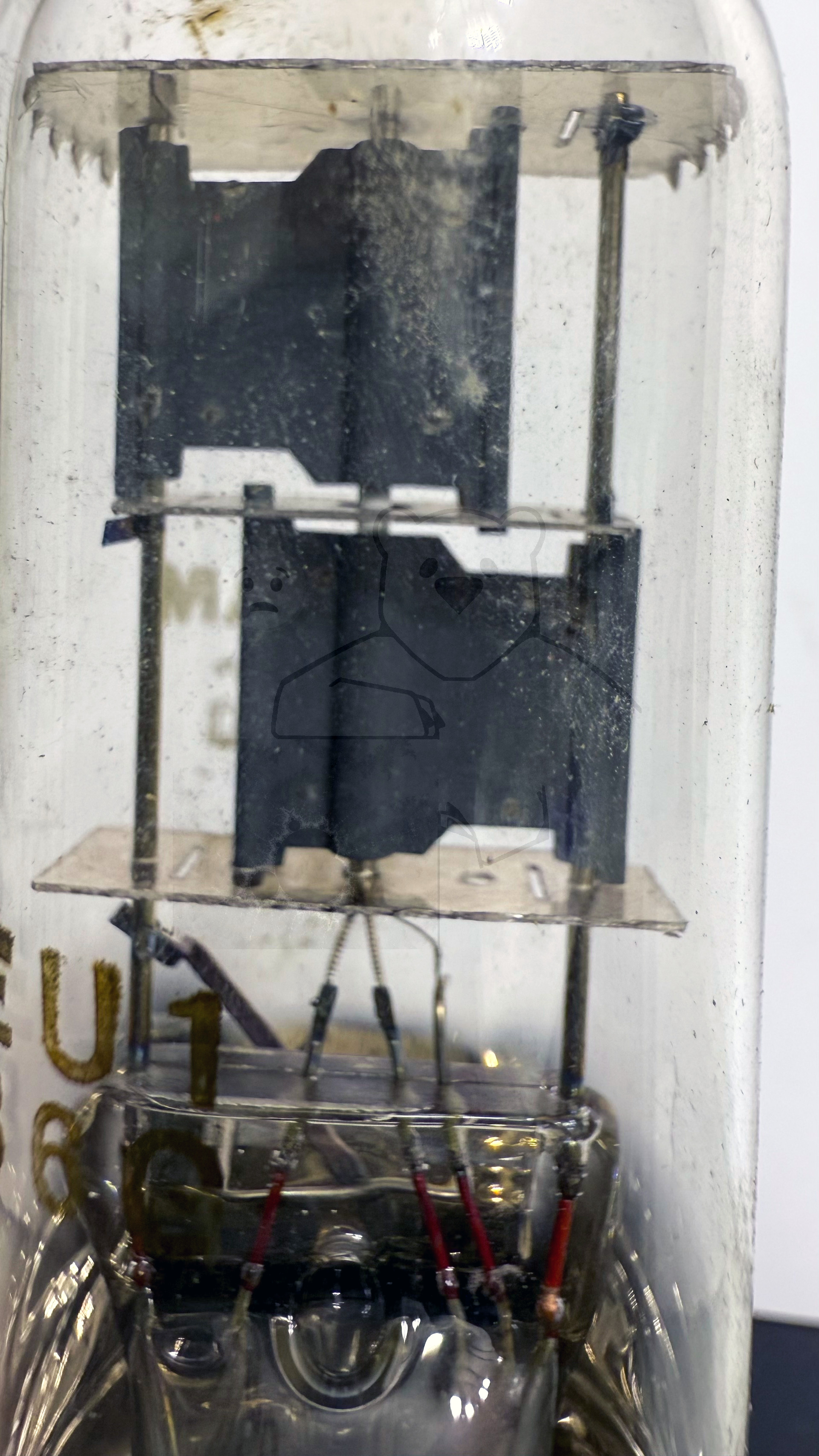 Röhre 6X5G #4491 Bild 4