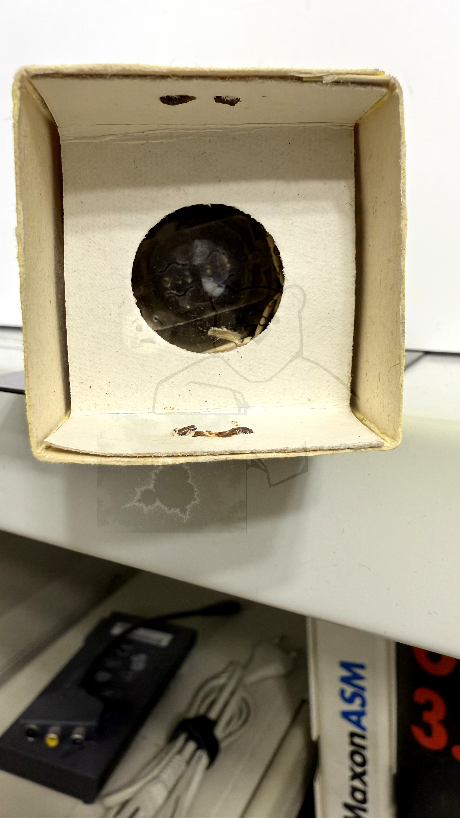 Röhre 6Н9С #4003 Verpackung Bild 3