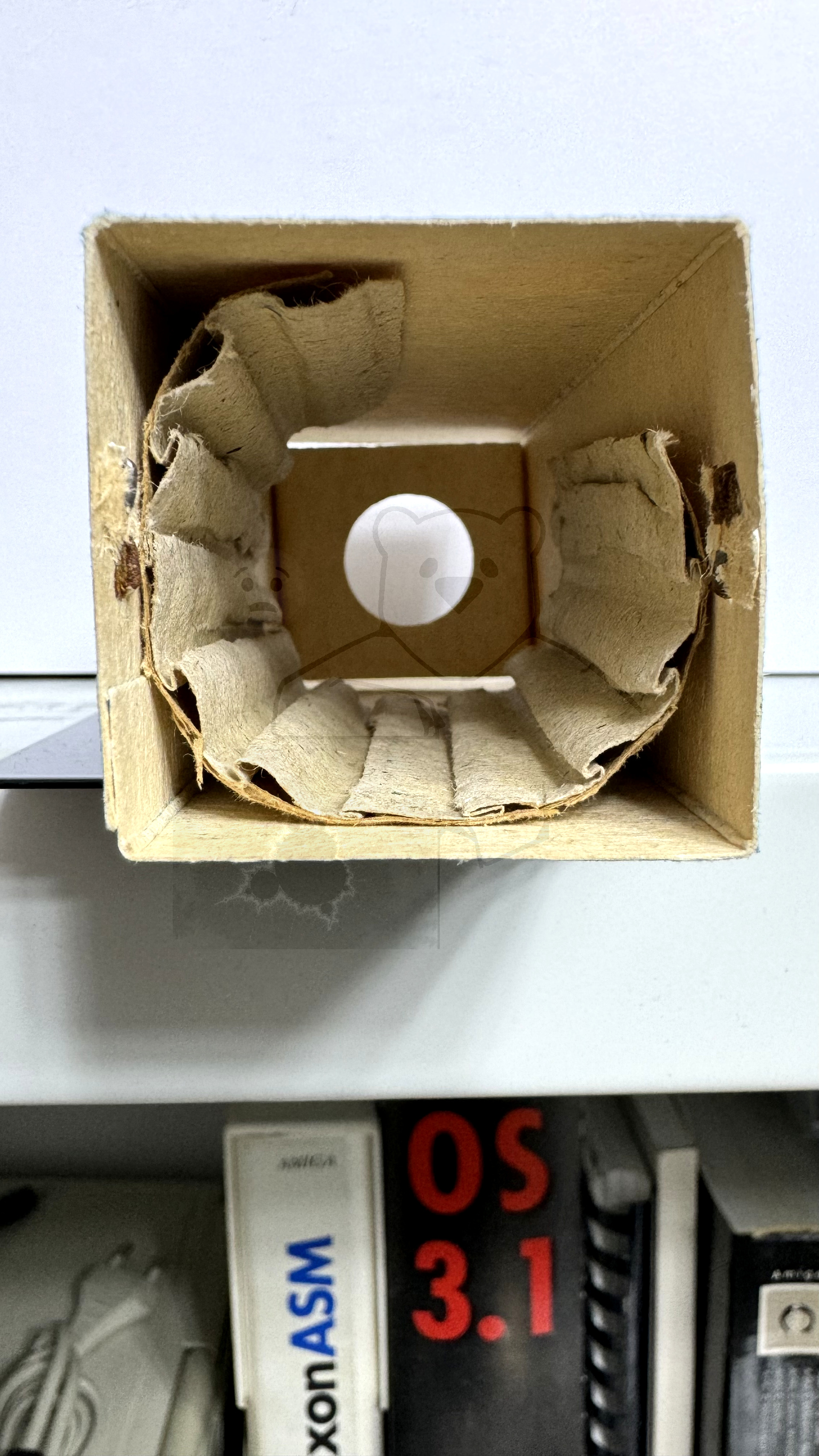 Röhre 6П3С-Е #7351 Verpackung Bild 4