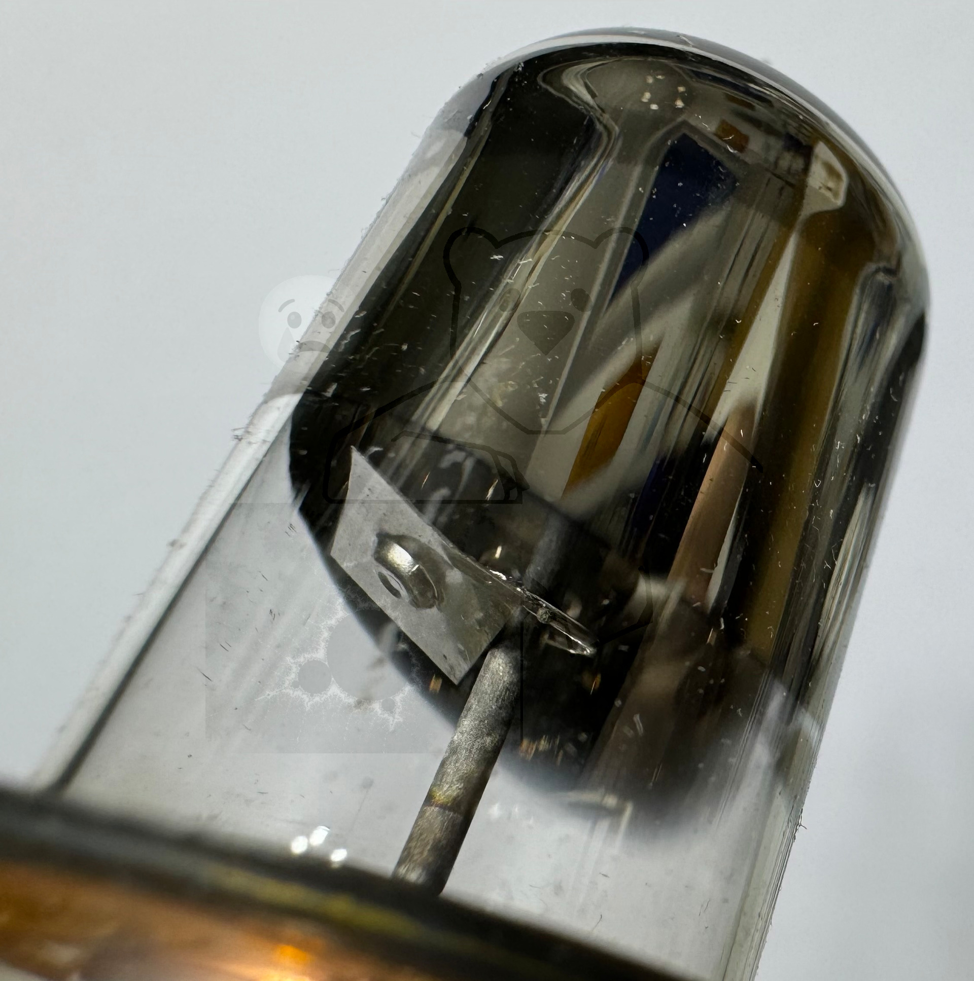 Röhre 707B #4773 Bild 6