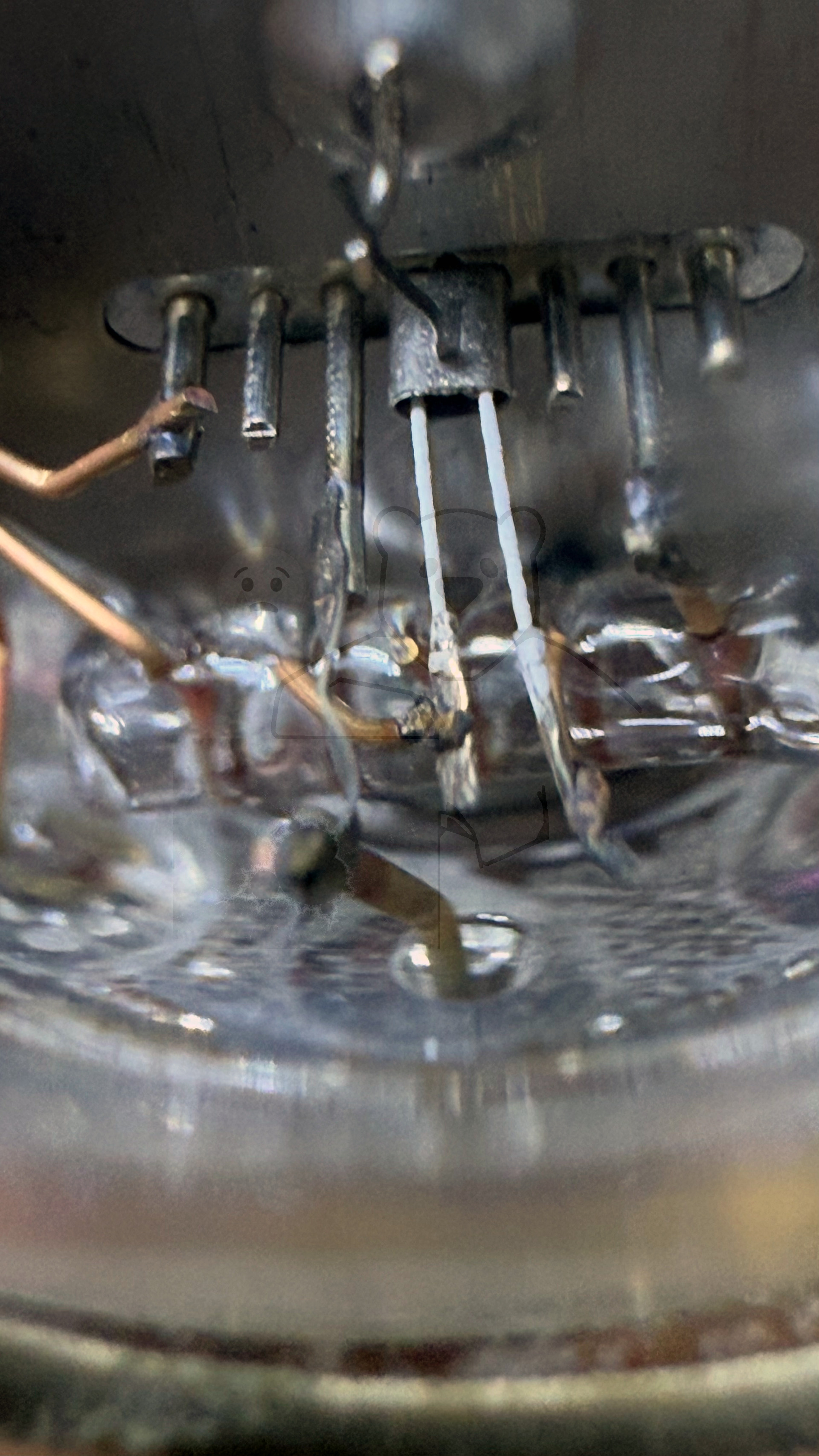 Röhre 717A #7495 Bild 3