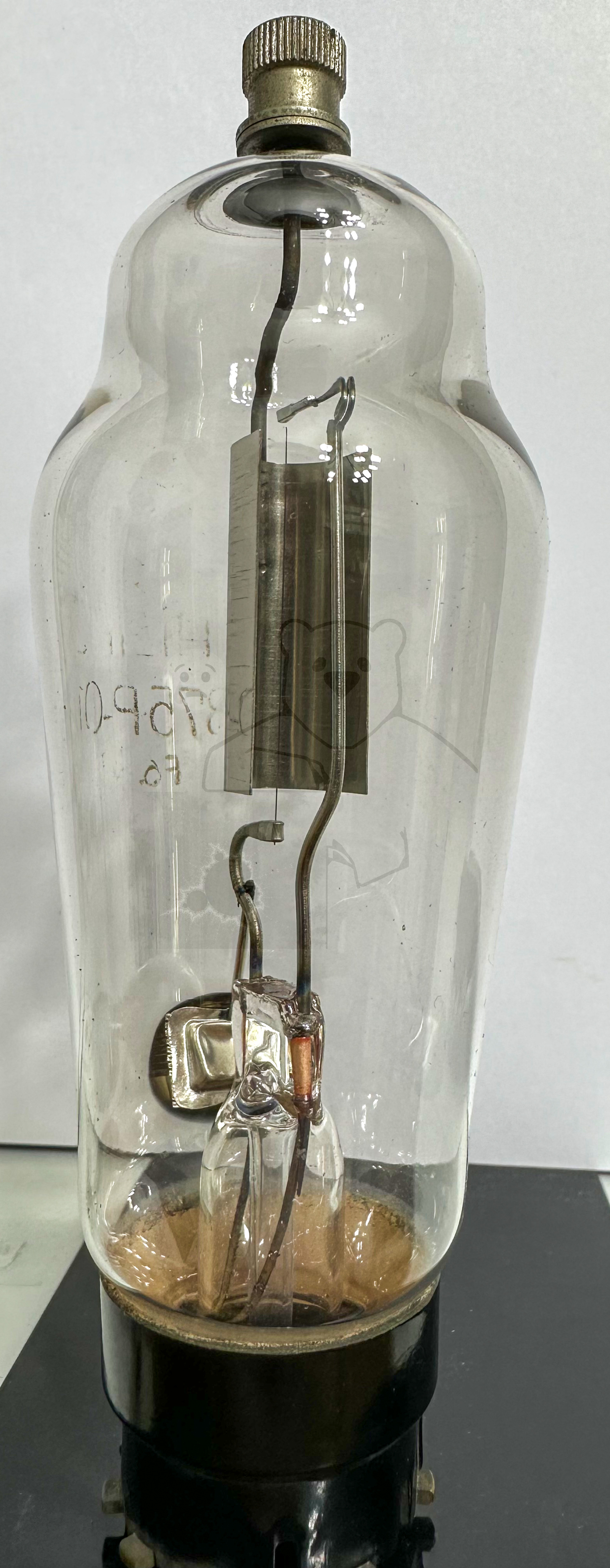 Röhre 875P-01 #4673 Bild 3