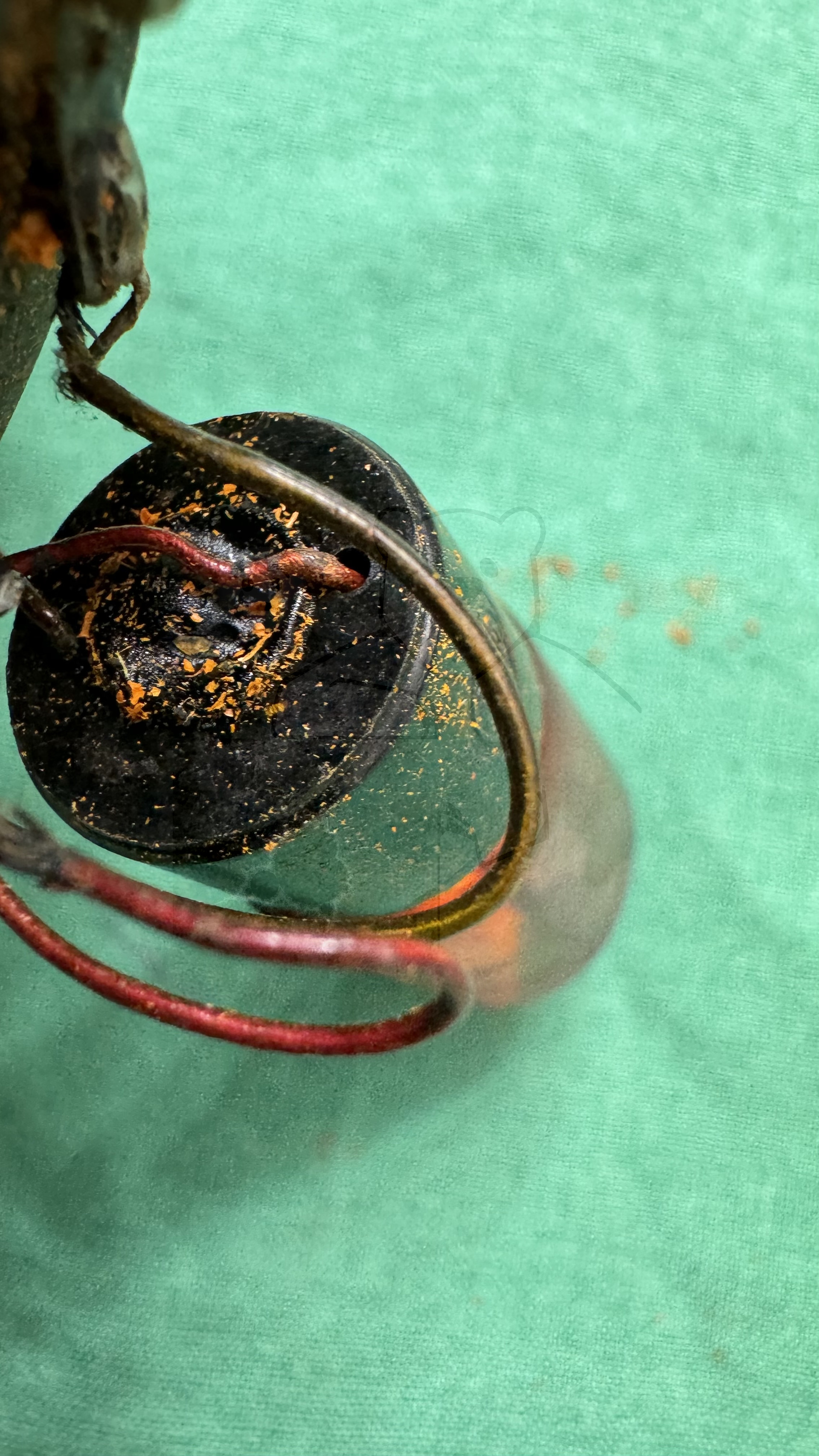 Röhre 90-350 PALA #6611 Bild 6