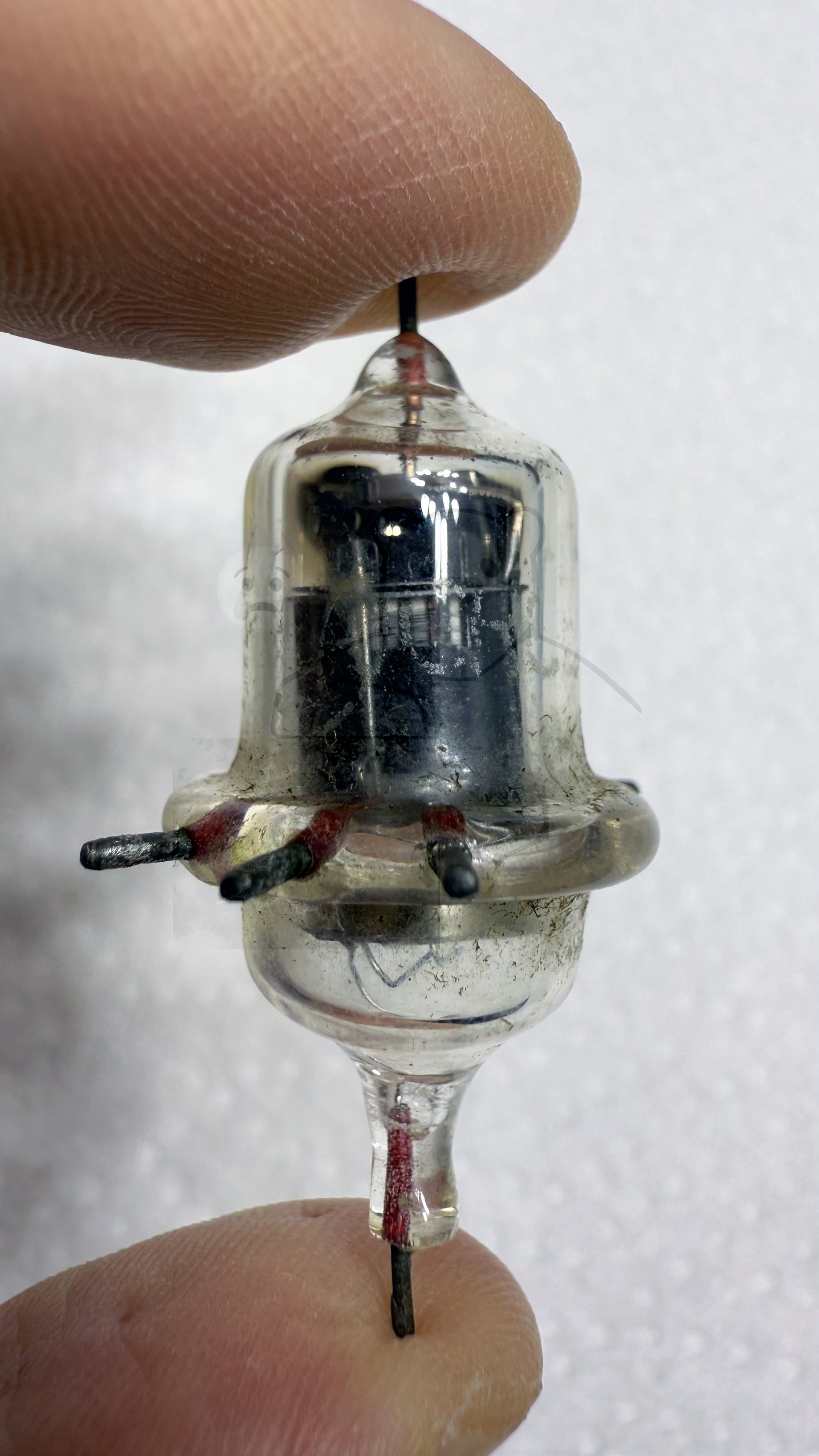 Röhre 954 #7916 Bild 1