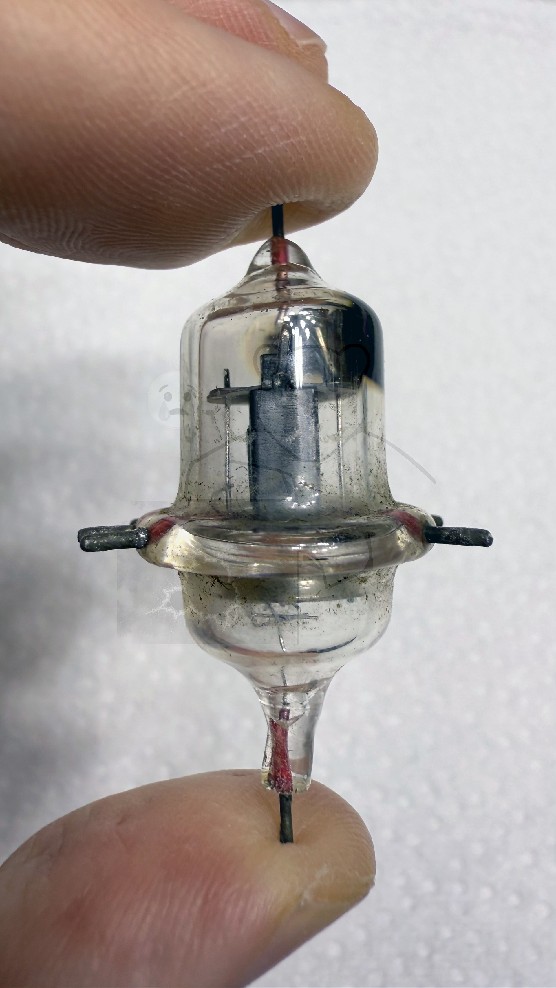 Röhre 954 #7916 Bild 2