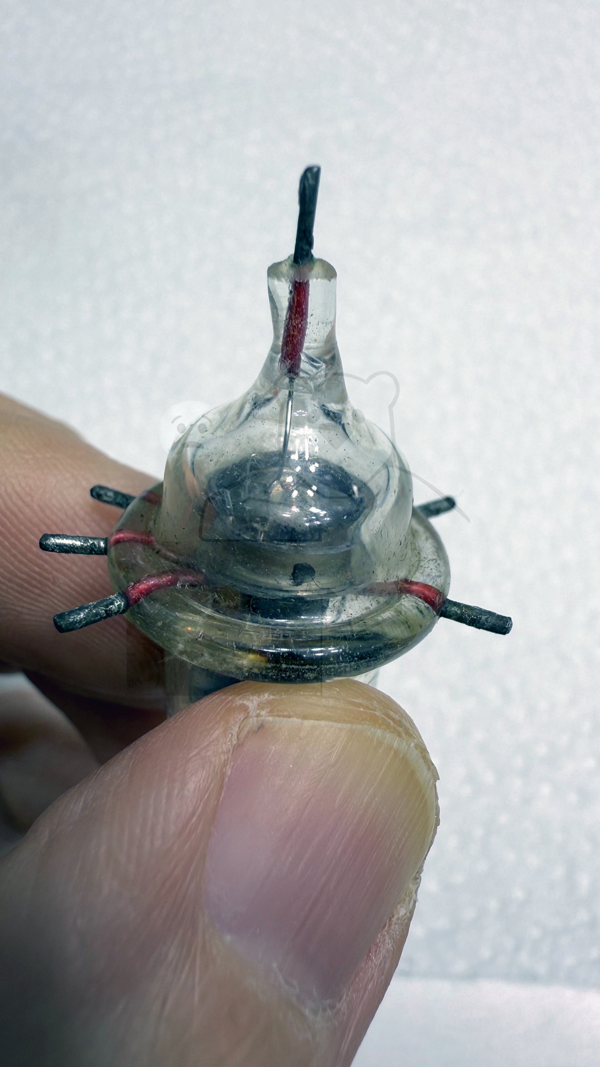 Röhre 954 #7916 Bild 5