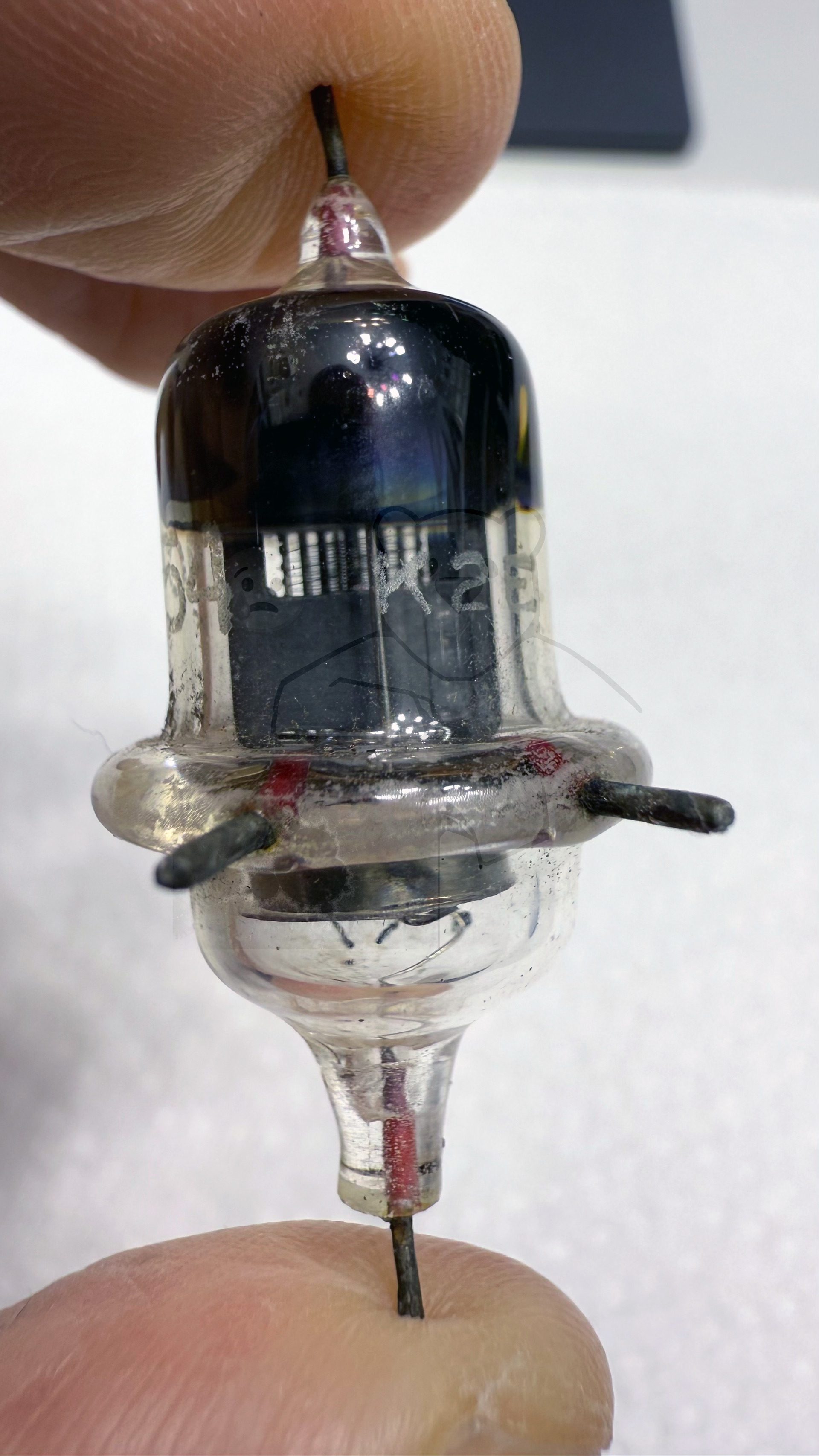 Röhre 954 #7917 Bild 4