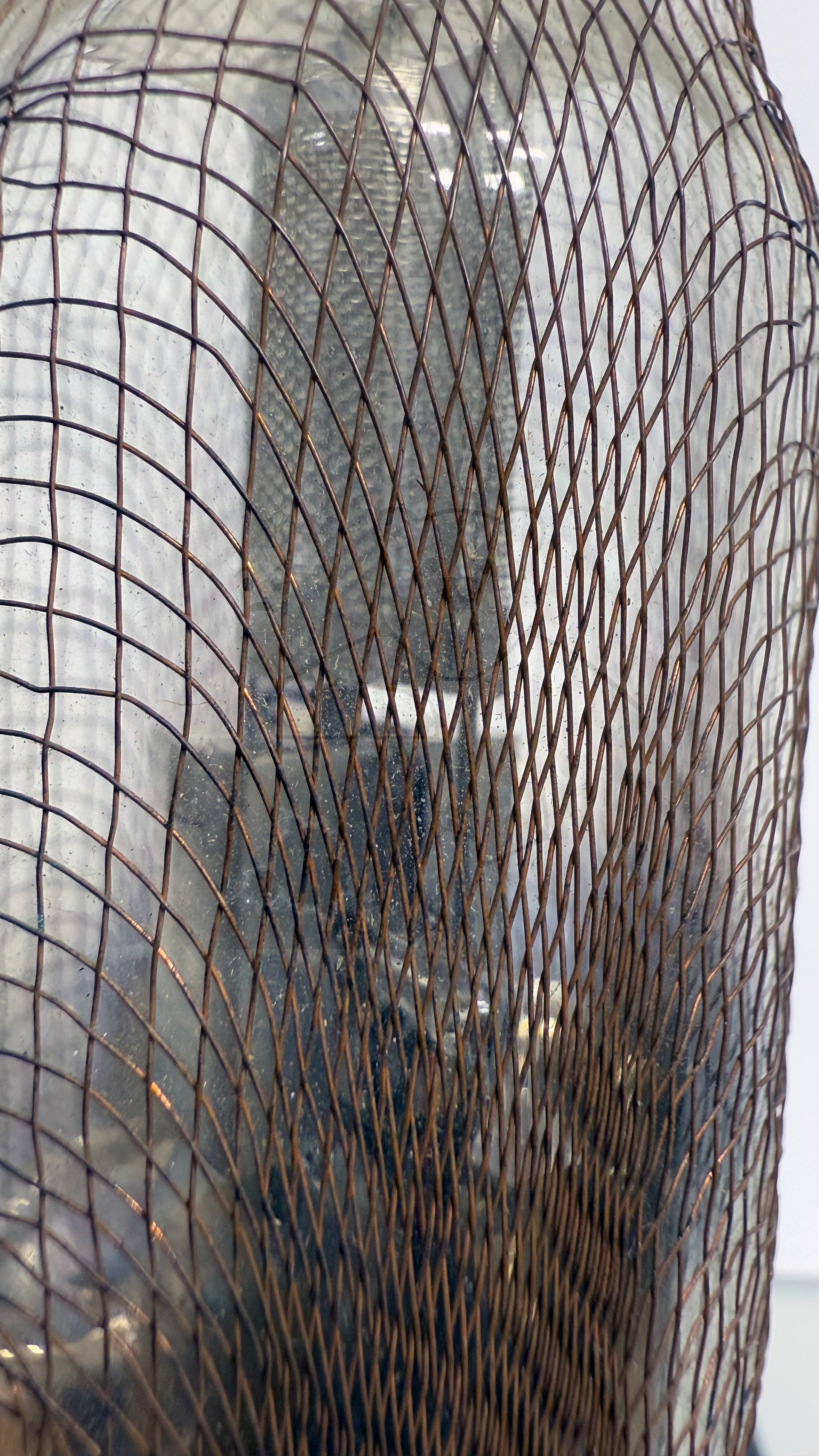 Röhre A520 (Ostar-Ganz, 7pol Hexodensockel) #7758 Bild 3