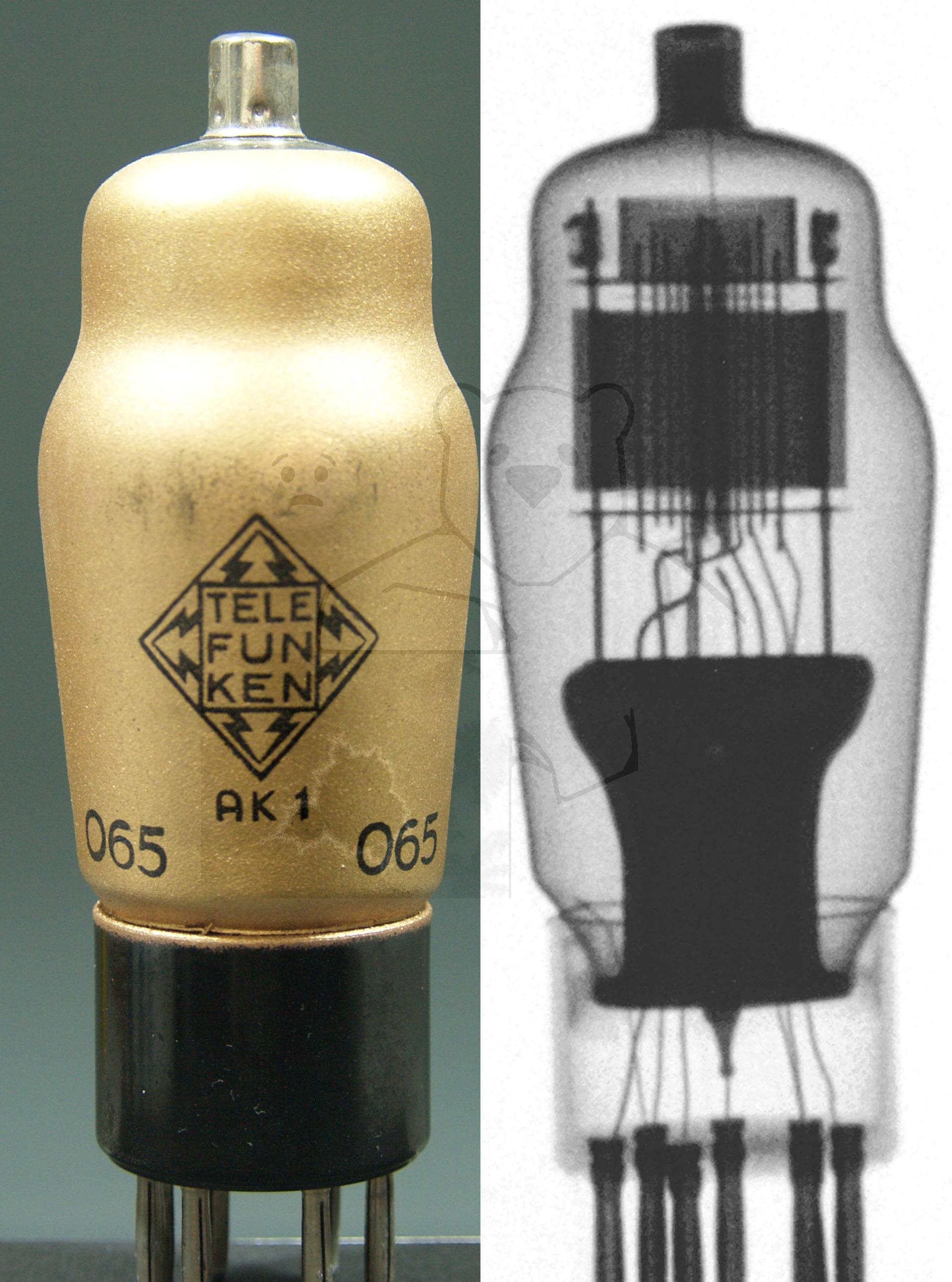 Röhre AK1 #3296 Bild 2 Röntgenbild Telefunken