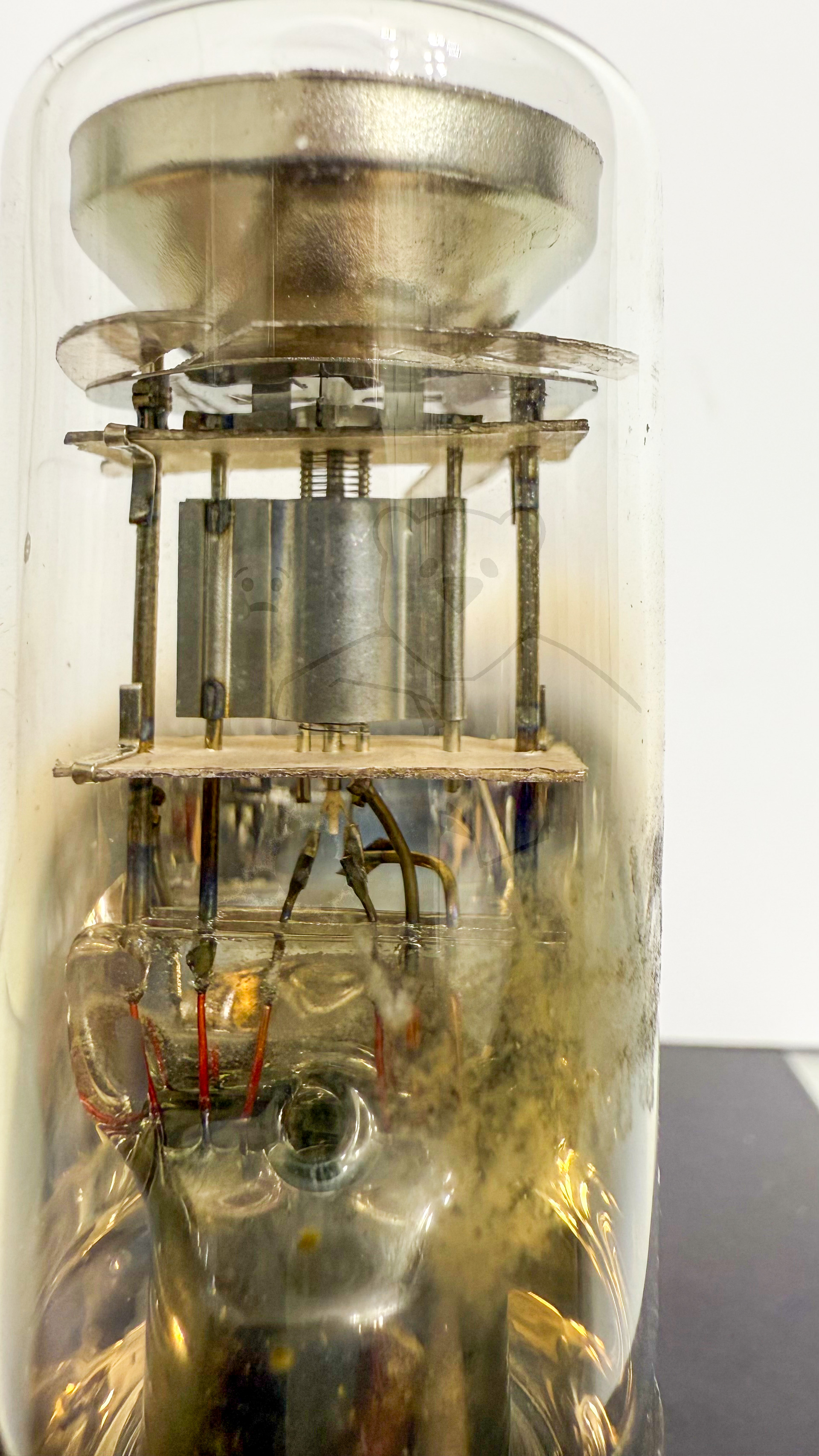 Röhre AM1 #6891 Bild 2