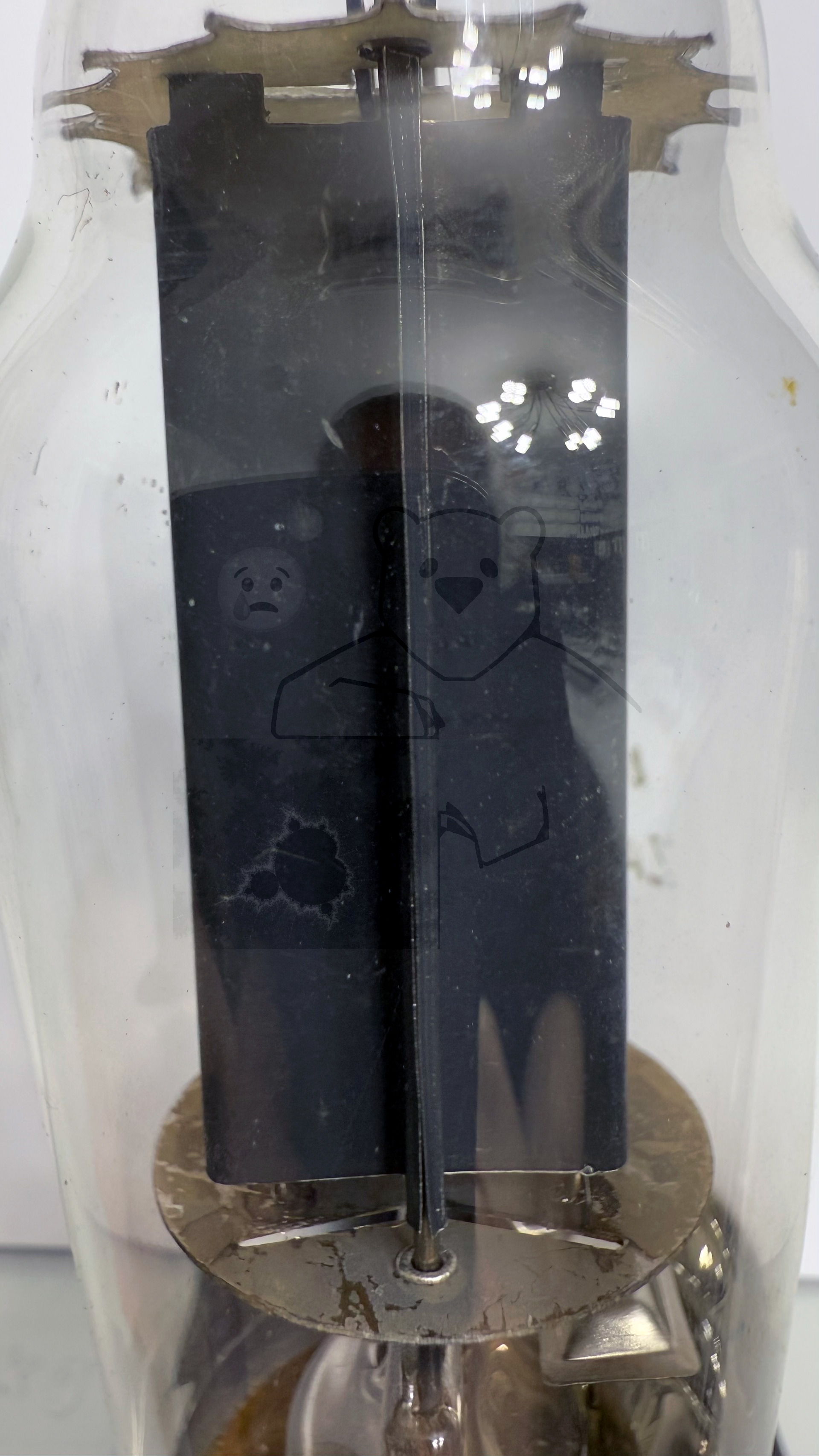 Röhre AU1 #7231 Bild 4