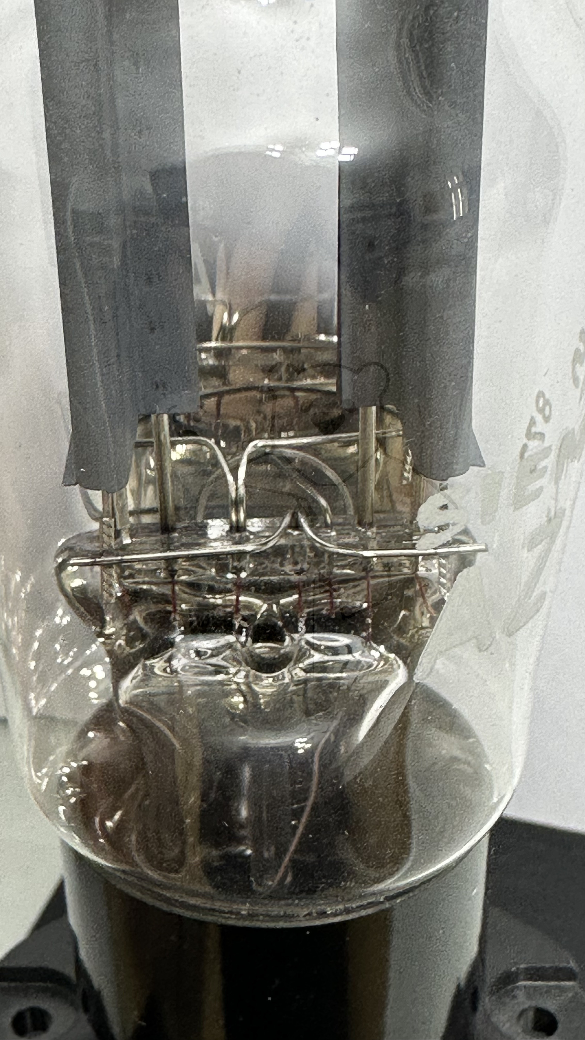 Röhre AZ12 #3284 Bild 4