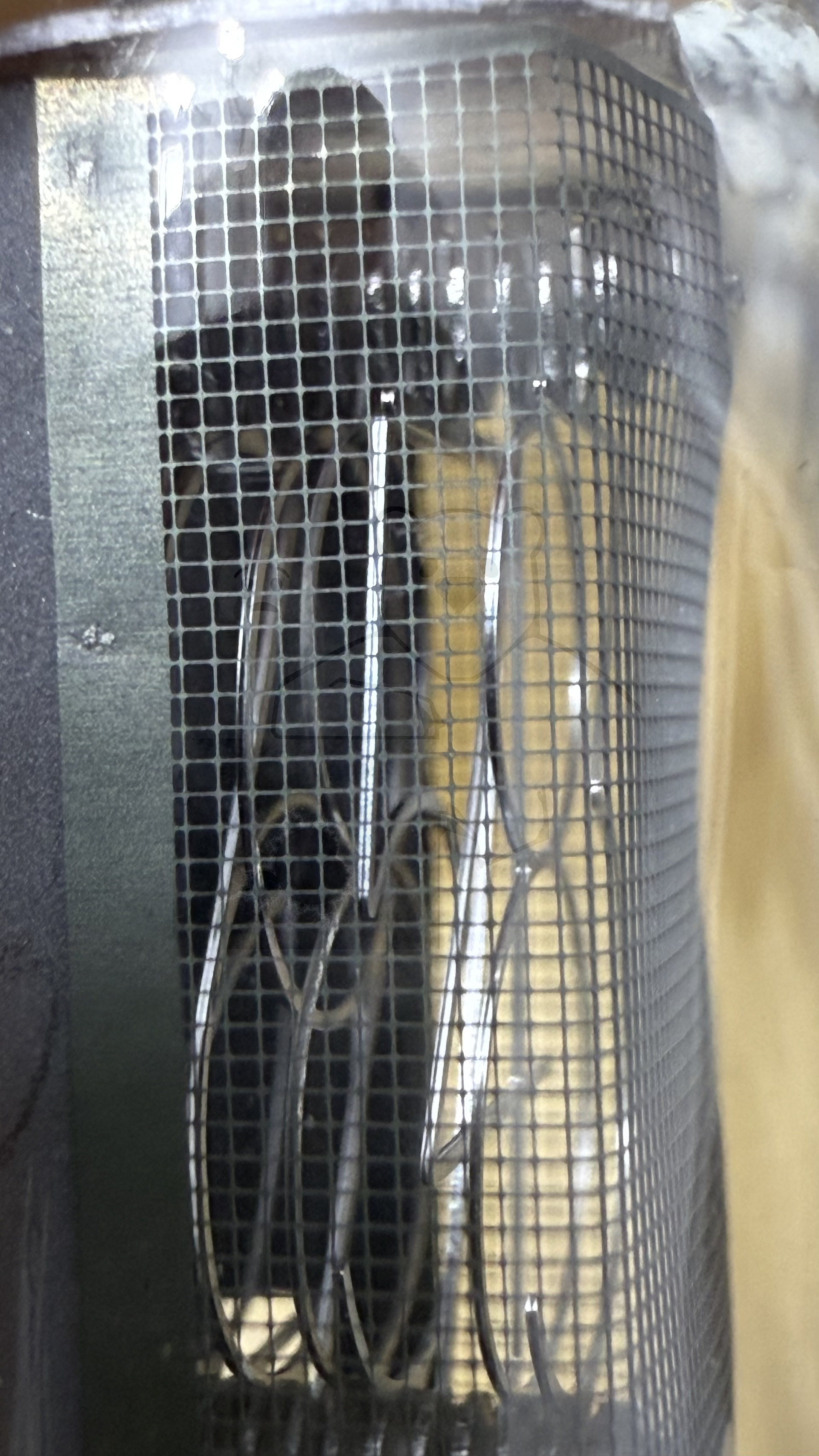 Röhre B5441A #3399 Bild 11