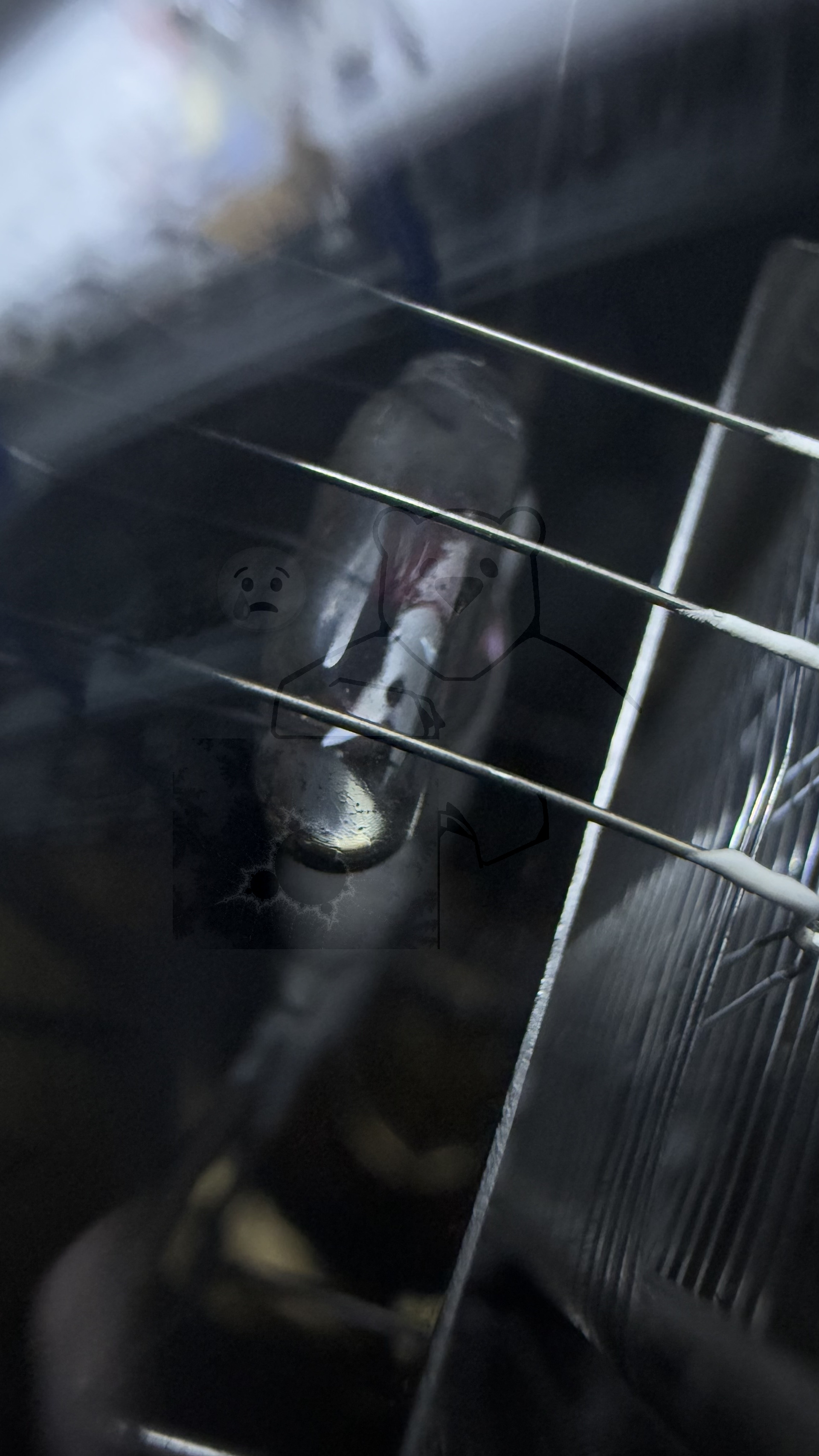 Röhre Be #7756 Bild 9