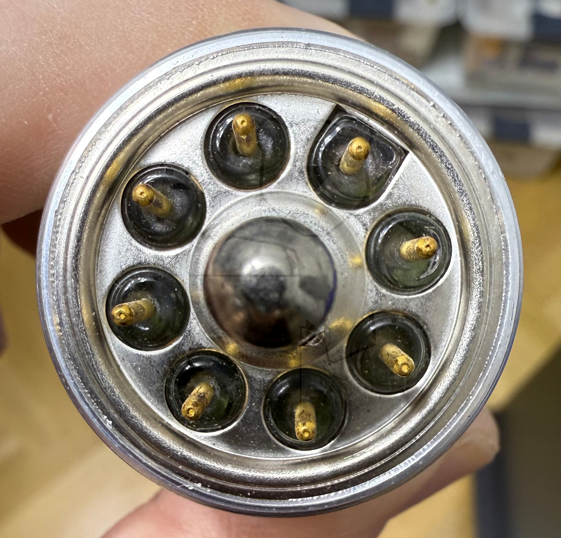 Röhre C3g #4859 Bild 3