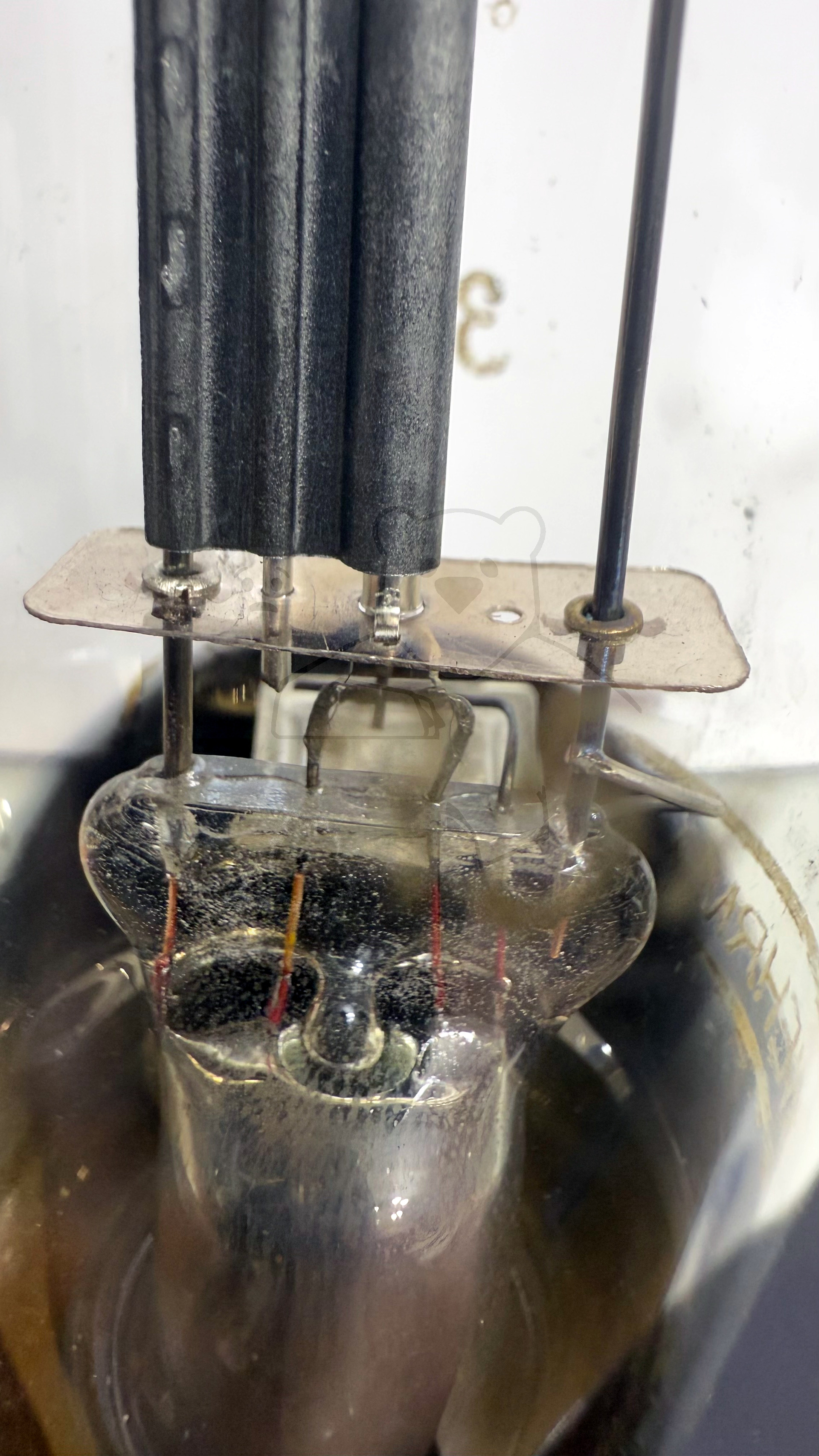 Röhre CY1 #8090 Bild 3