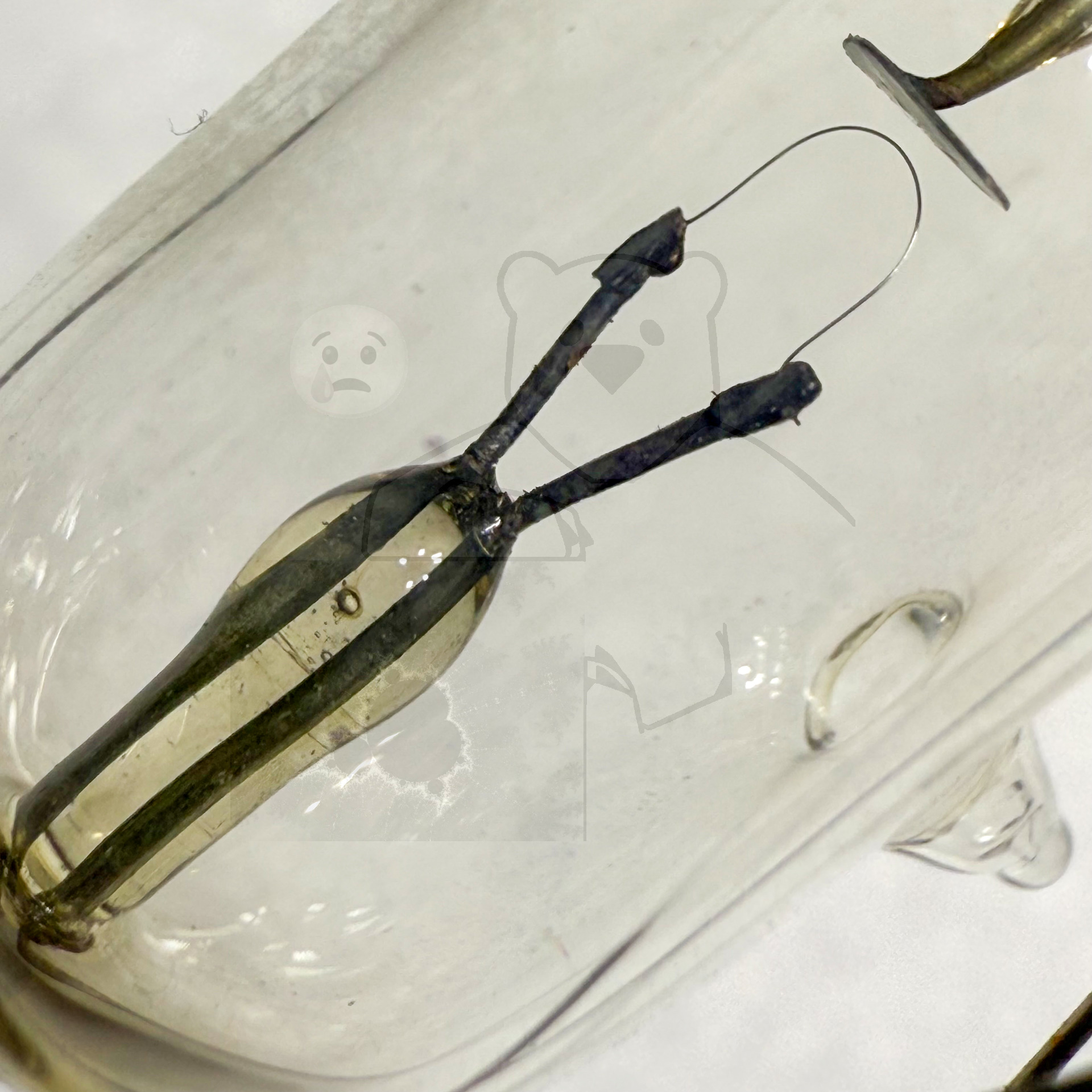 Röhre DDO14 #6387 Bild 2