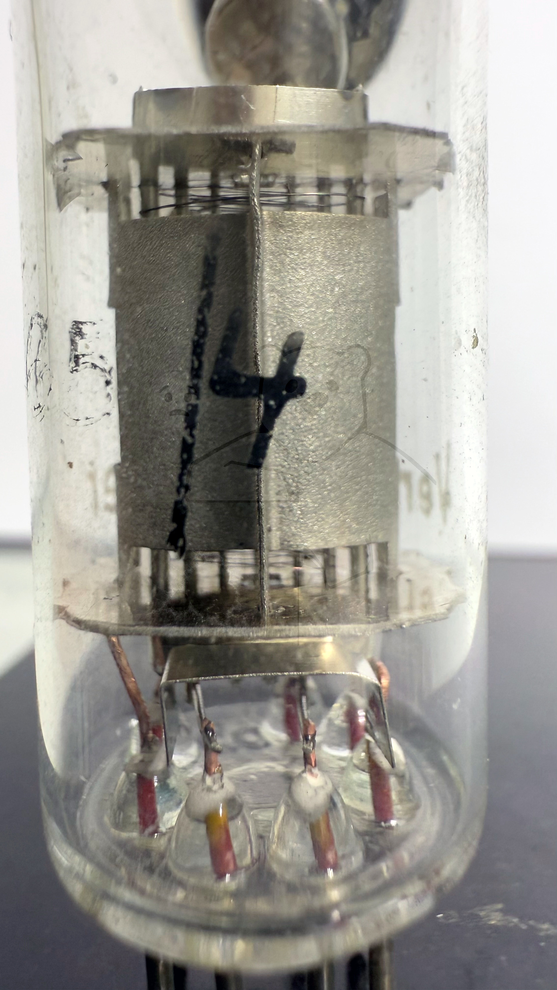 Röhre DL15 Versuchsmuster #7841 Bild 4