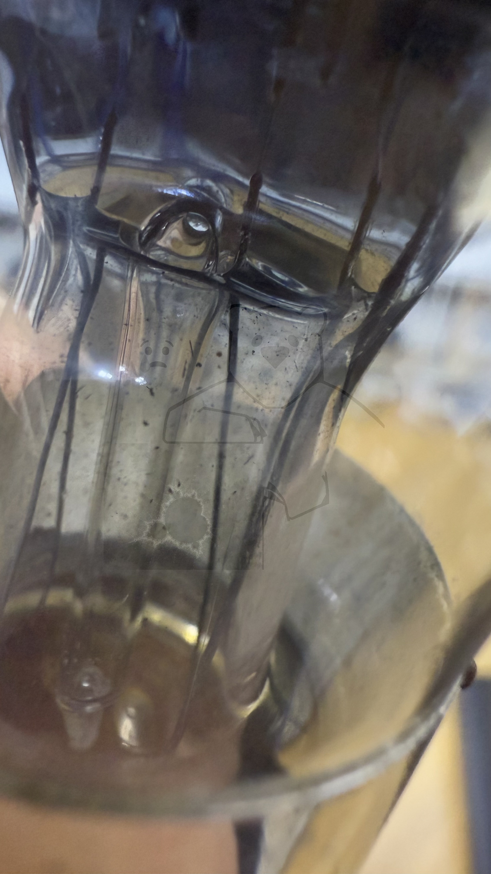 Röhre DM15 (Radio Record) #7883 Bild 6