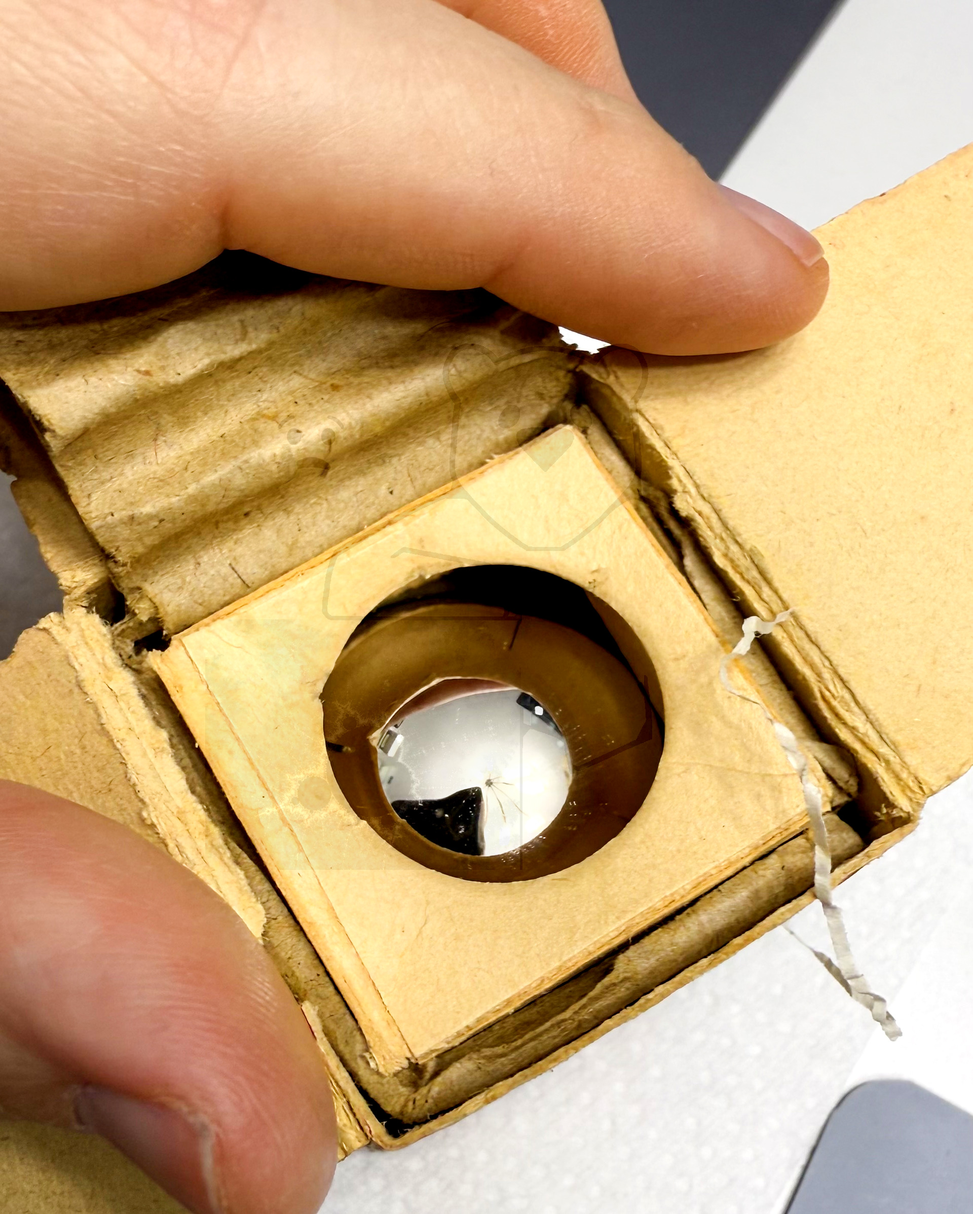 Röhre DM15 (Radio Record) #7883 Verpackung Bild 2