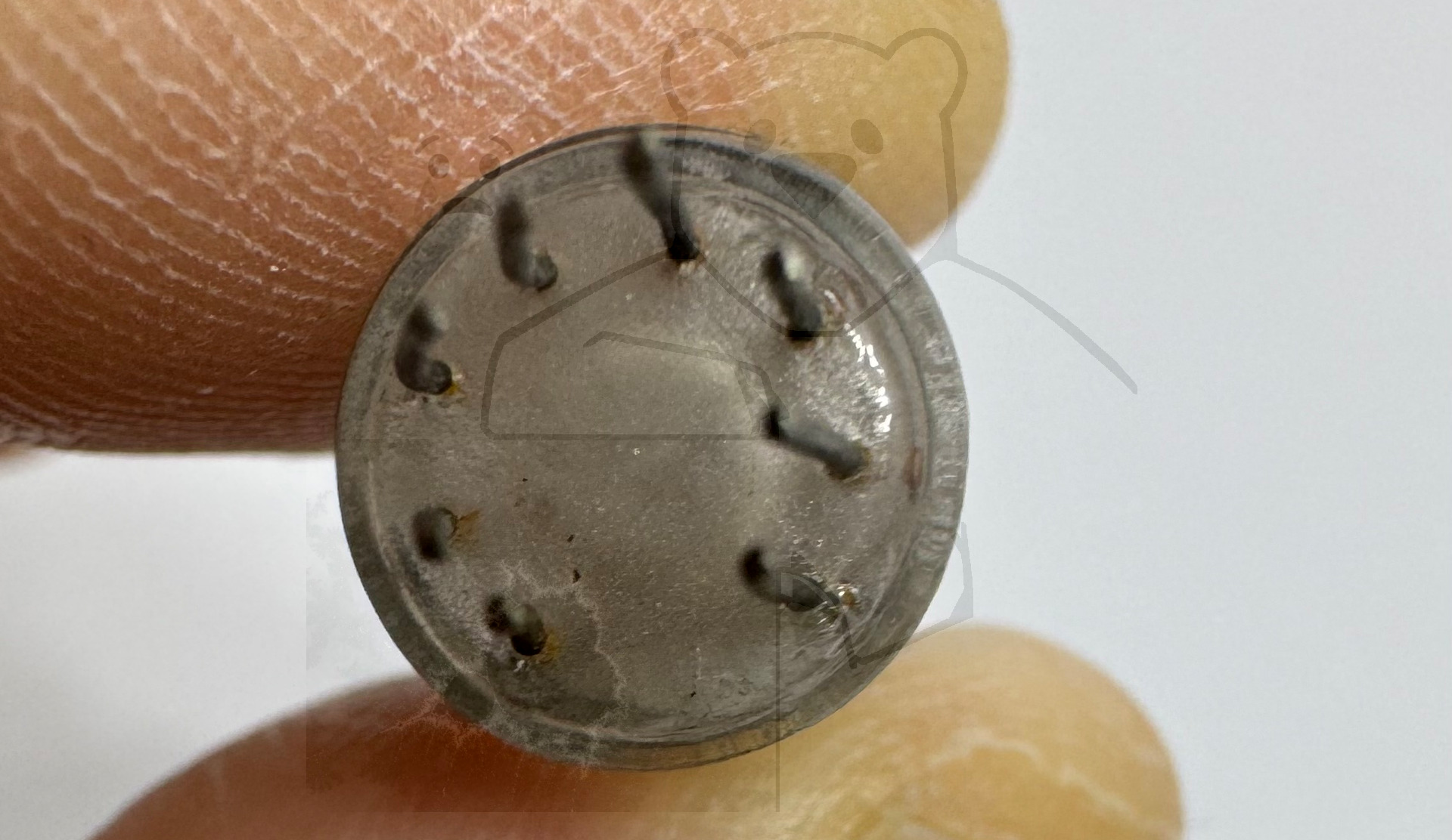 Röhre DM71 #3032 Bild 5